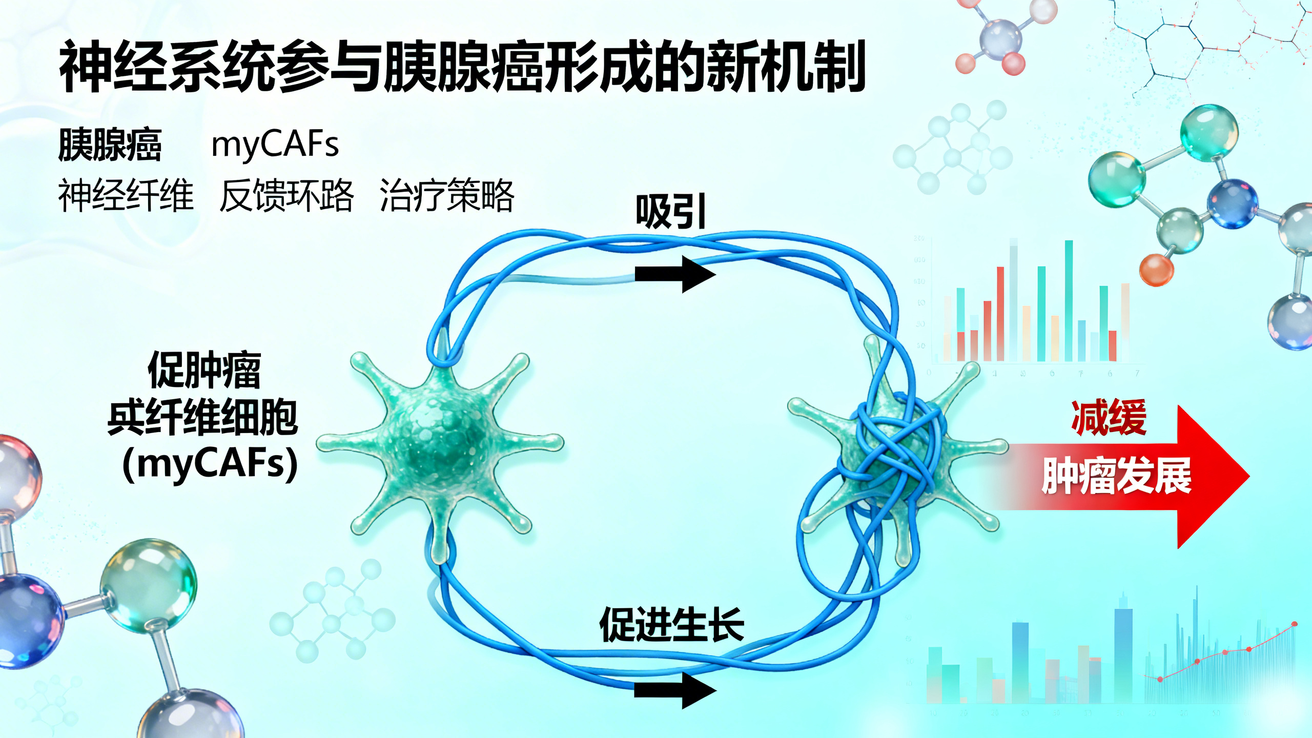 科学家发现神经会“助长”胰腺癌生长