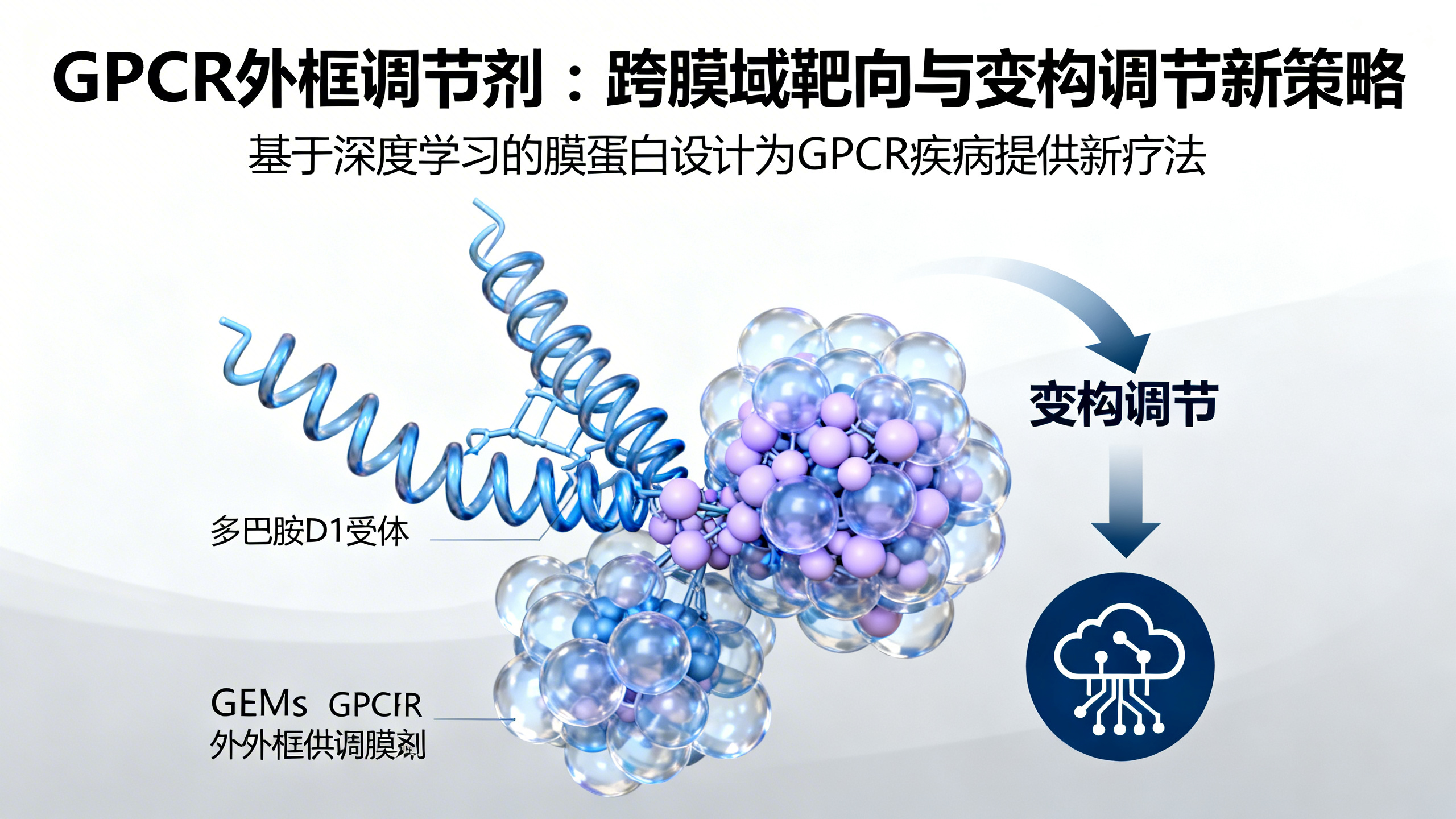 全新设计的GPCR外部调控分子