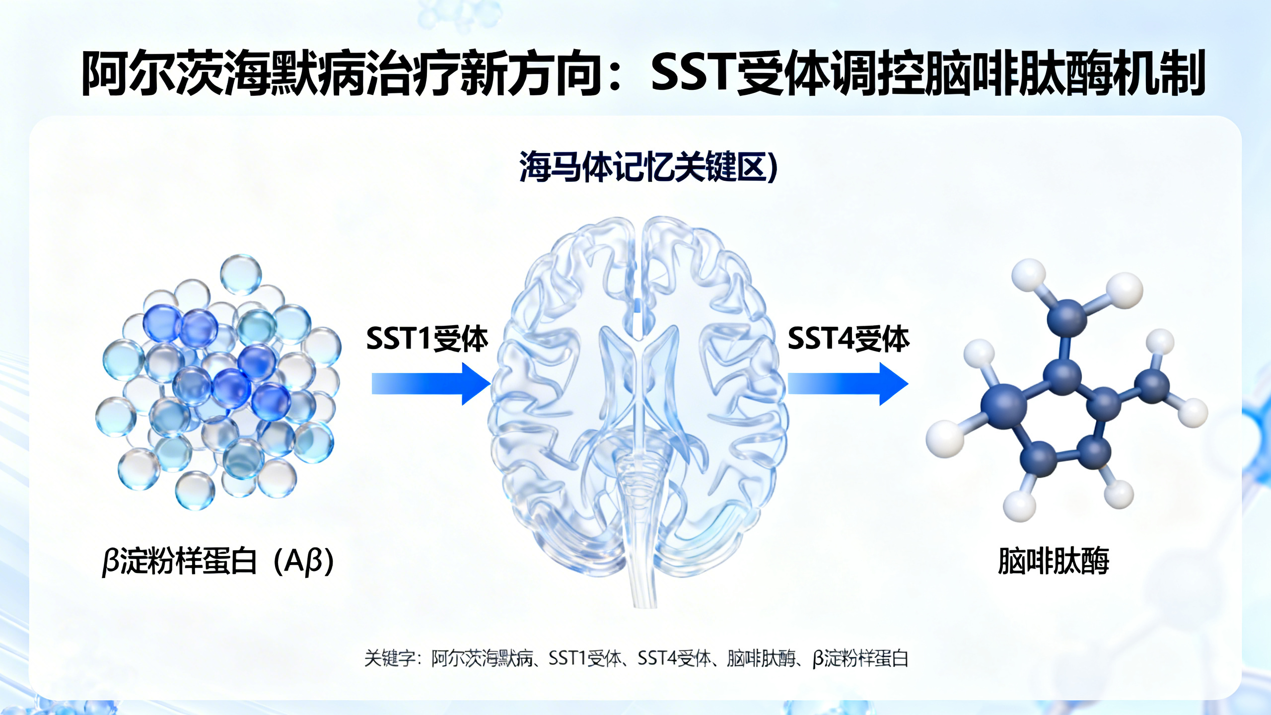 科学家发现能清除阿尔茨海默病“脑斑块”的开关