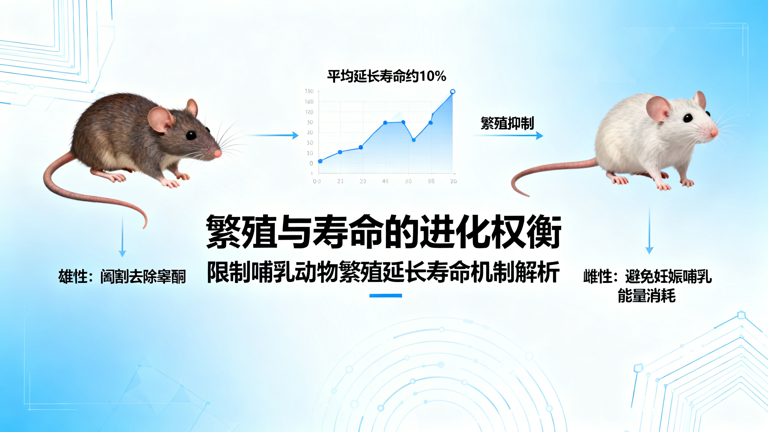 后代越少，寿命越长：哺乳动物衰老的隐藏规律