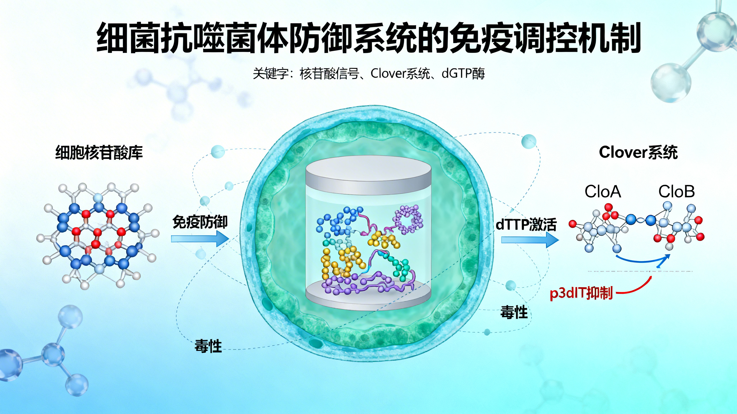 细菌免疫系统的“开关”信号