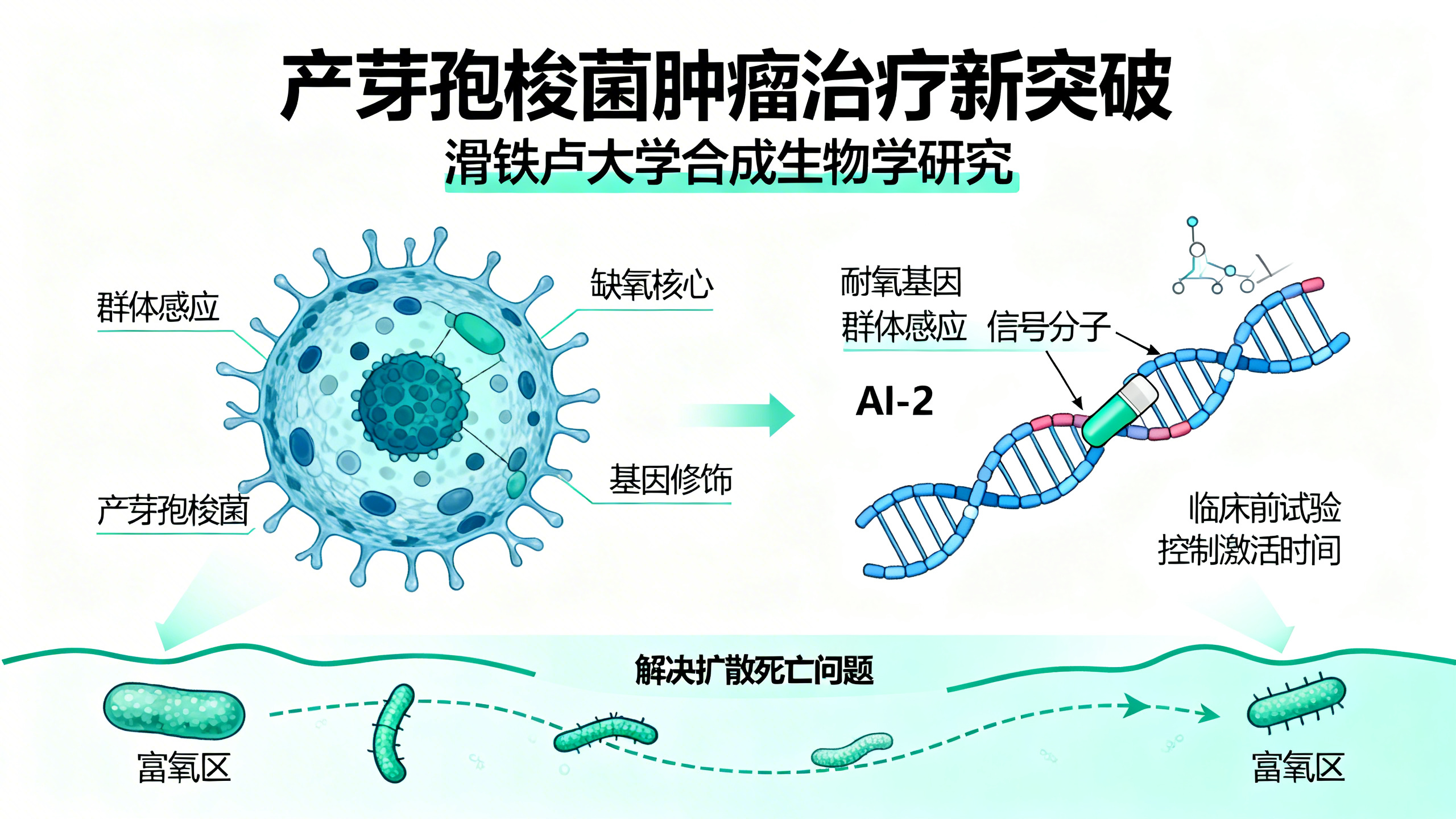 科学家改造细菌，让它们“吃掉”肿瘤