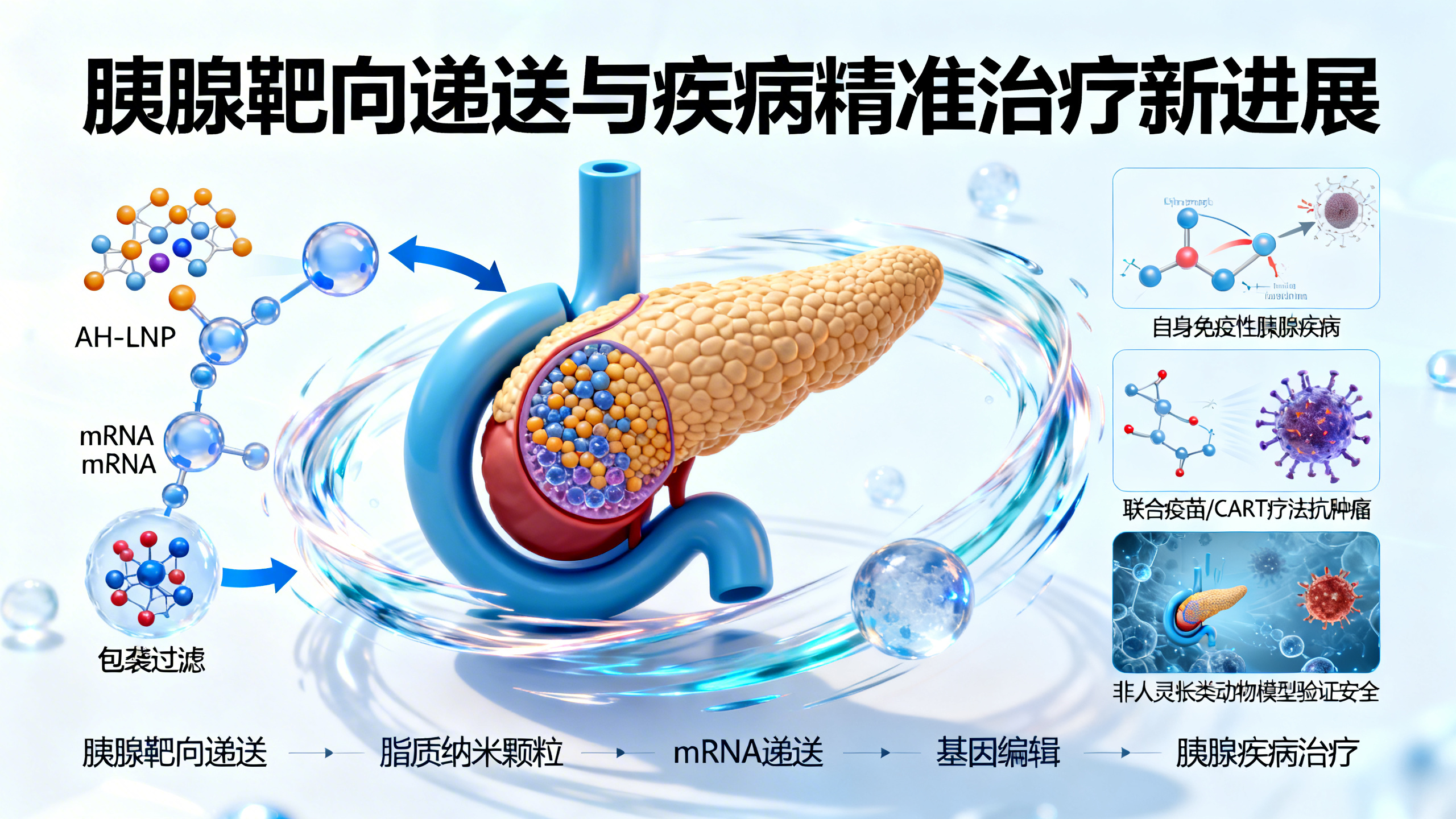靶向胰腺的脂质纳米颗粒：利用器官被膜过滤原理