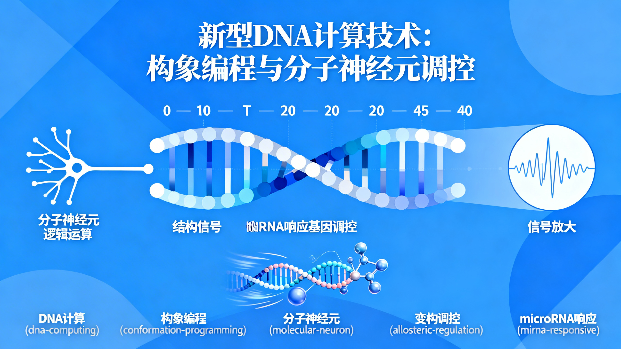 DNA计算：像折纸一样编程DNA