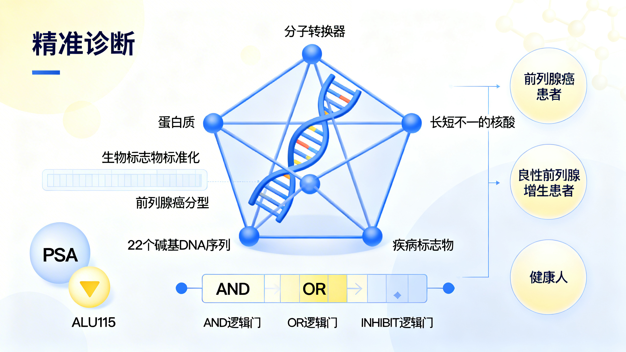 基于DNA结构的智能分子检测工具