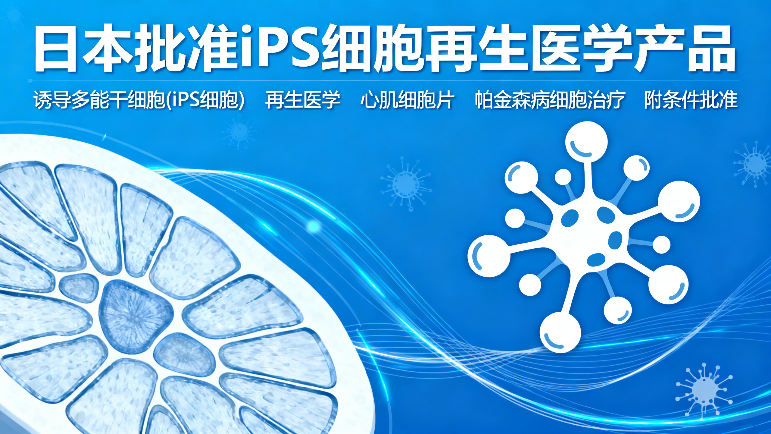 日本批准全球首个利用重编程人体细胞制成的疗法