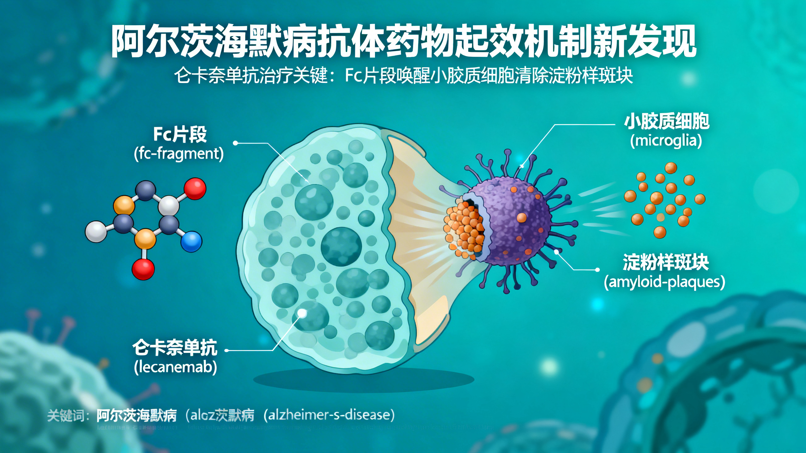 科学家终于揭开这款阿尔茨海默病药物的真实作用原理