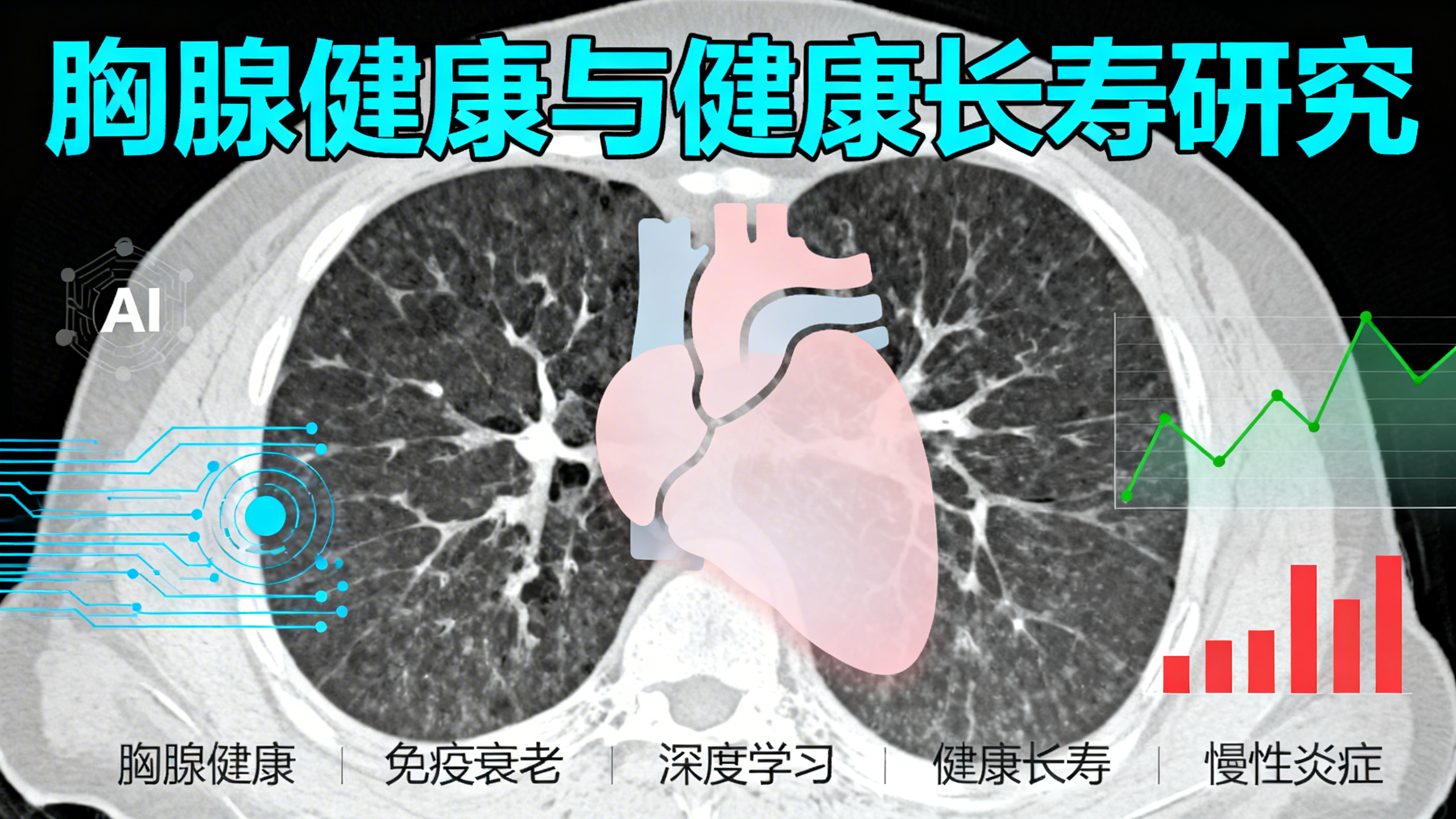 成年人胸腺健康的影响
