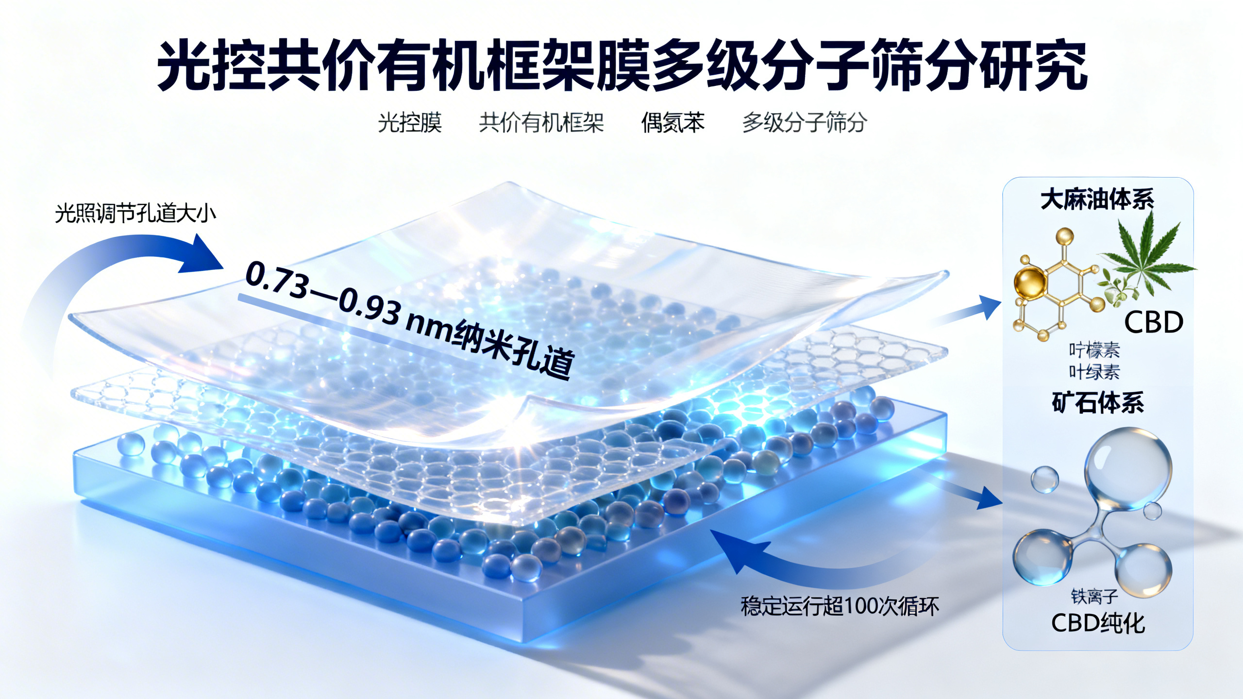 高效光控共价有机框架膜，实现精准多级分子分离