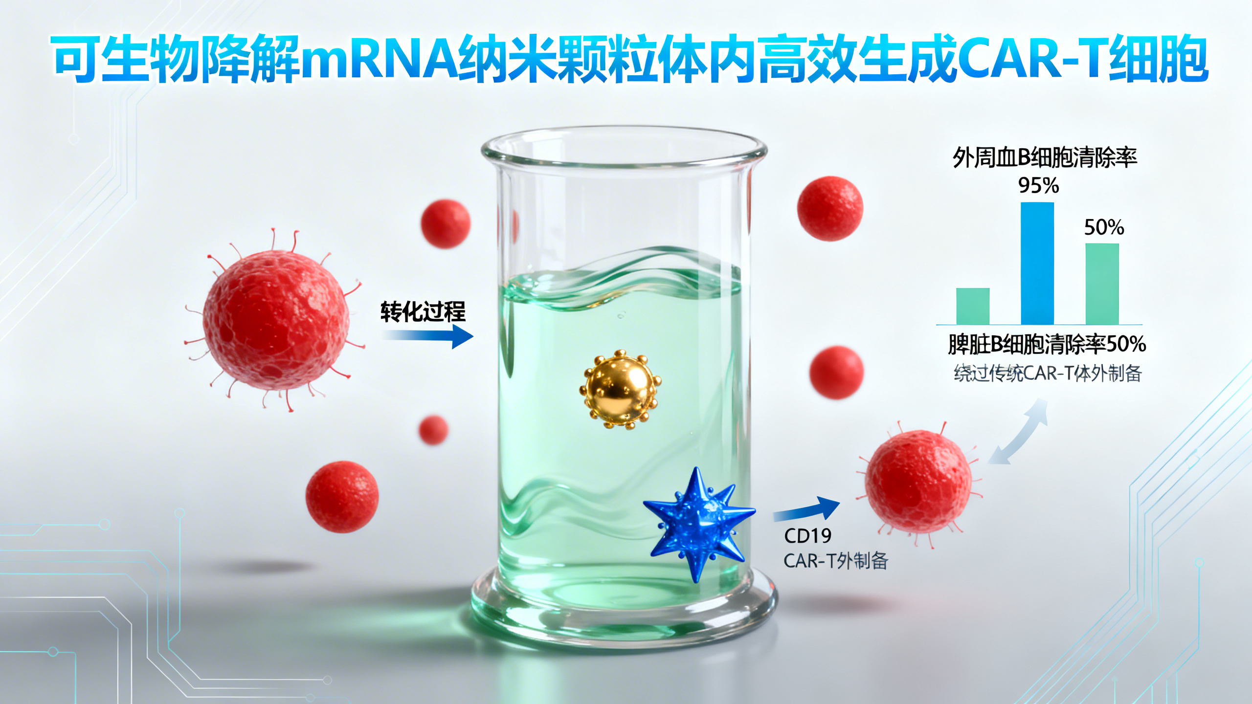 可降解的“智能”纳米颗粒：在体内直接生成抗癌T细胞，精准清除B细胞