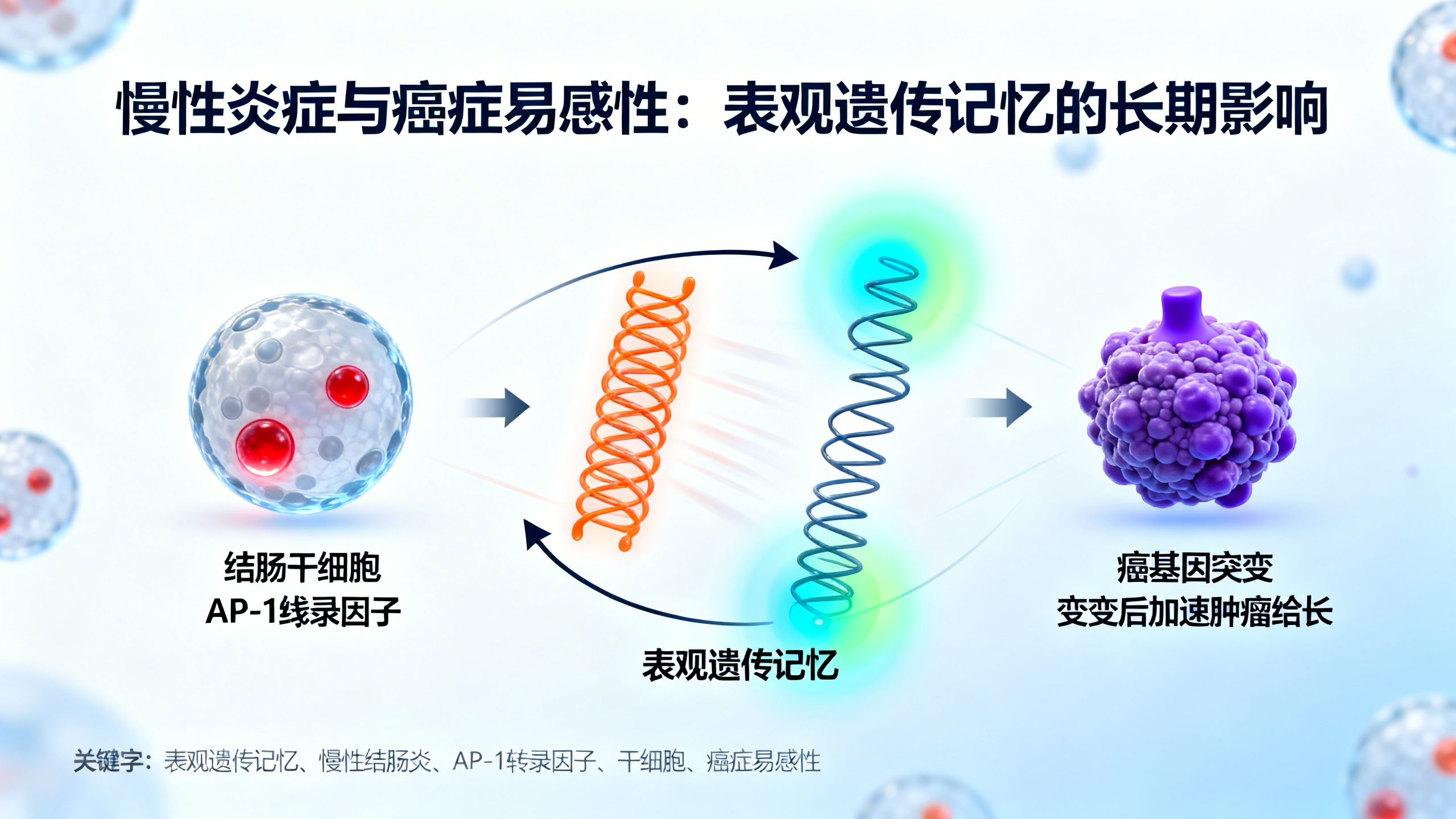 结肠炎“记忆”助长肿瘤生长