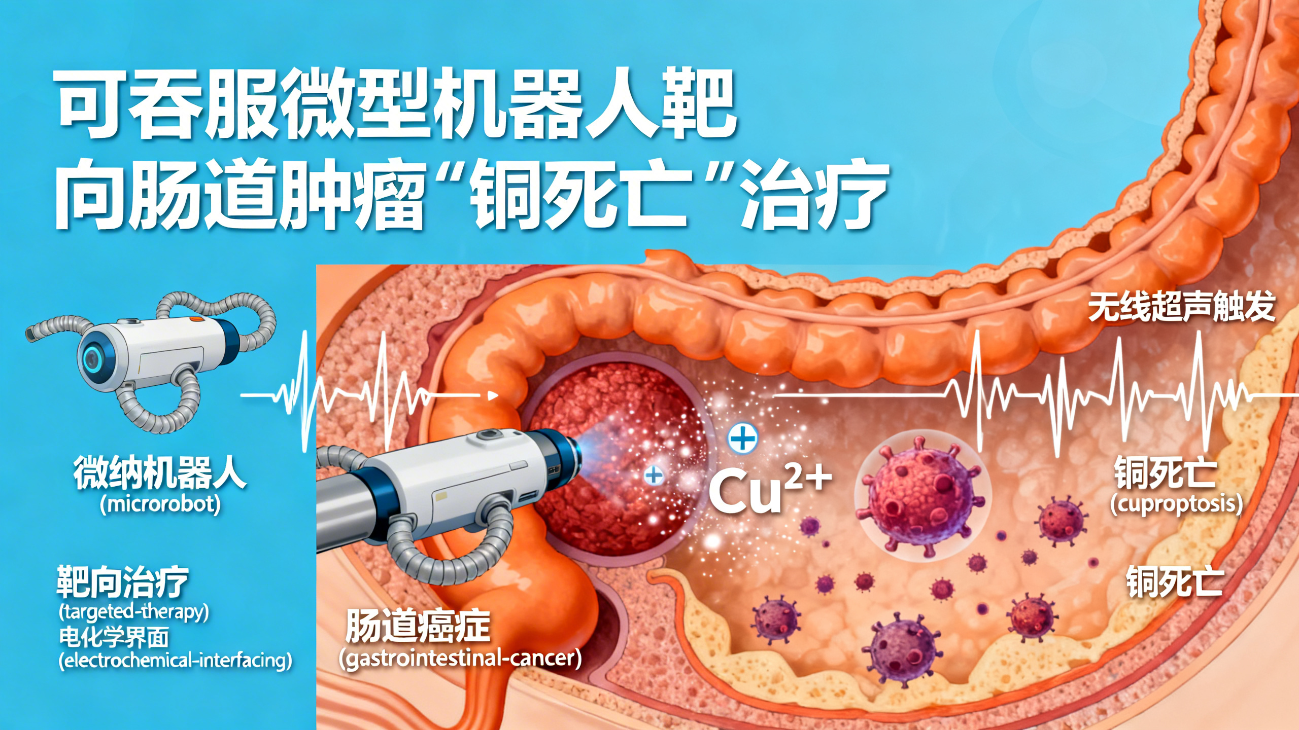 肠道靶向抗癌诊疗的微型机器人铜基电化学技术