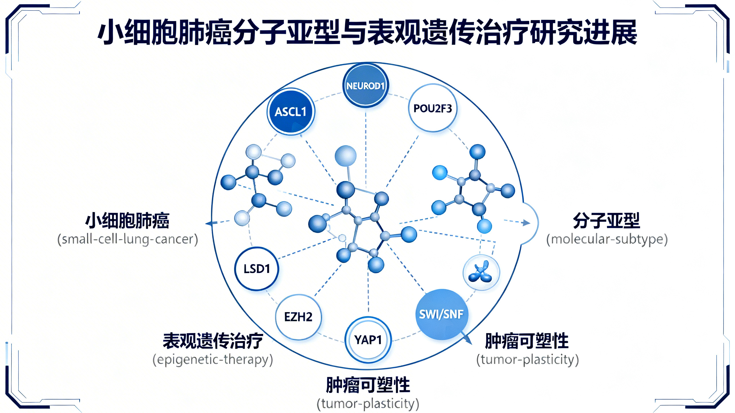 小细胞肺癌的“亚型特异性”治疗新思路