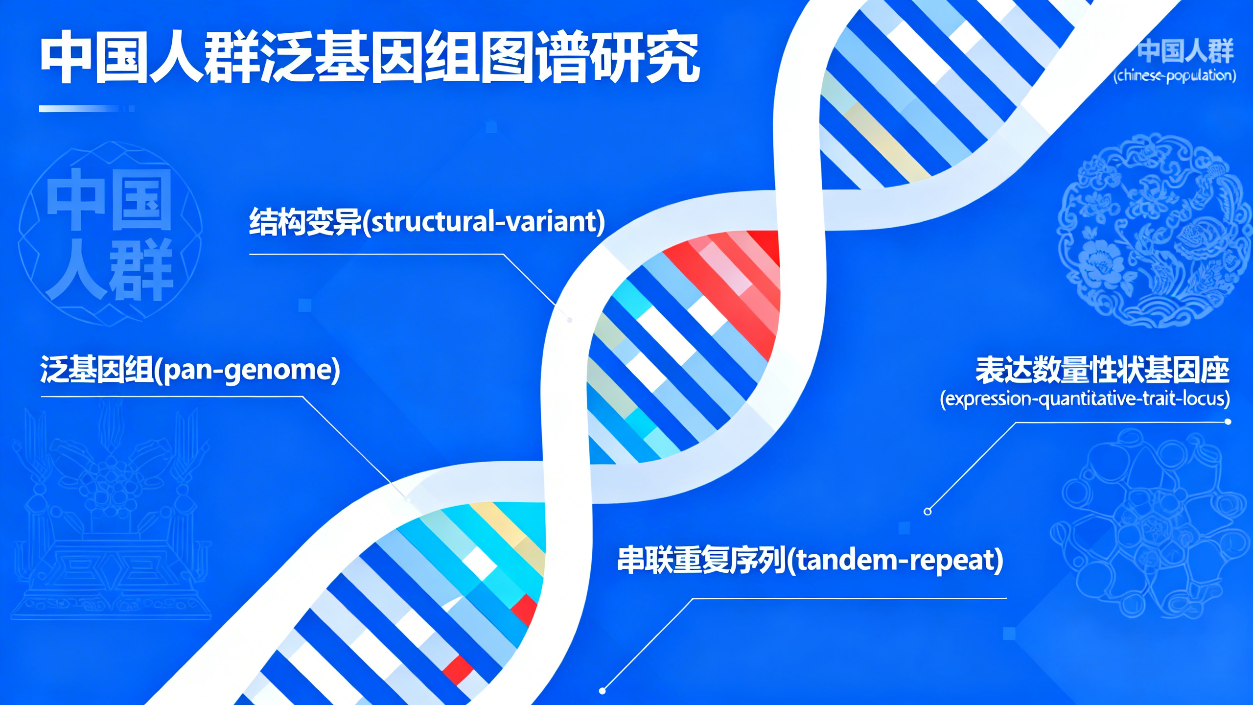 “中国千人泛基因组”助力医学研究与人群遗传学
