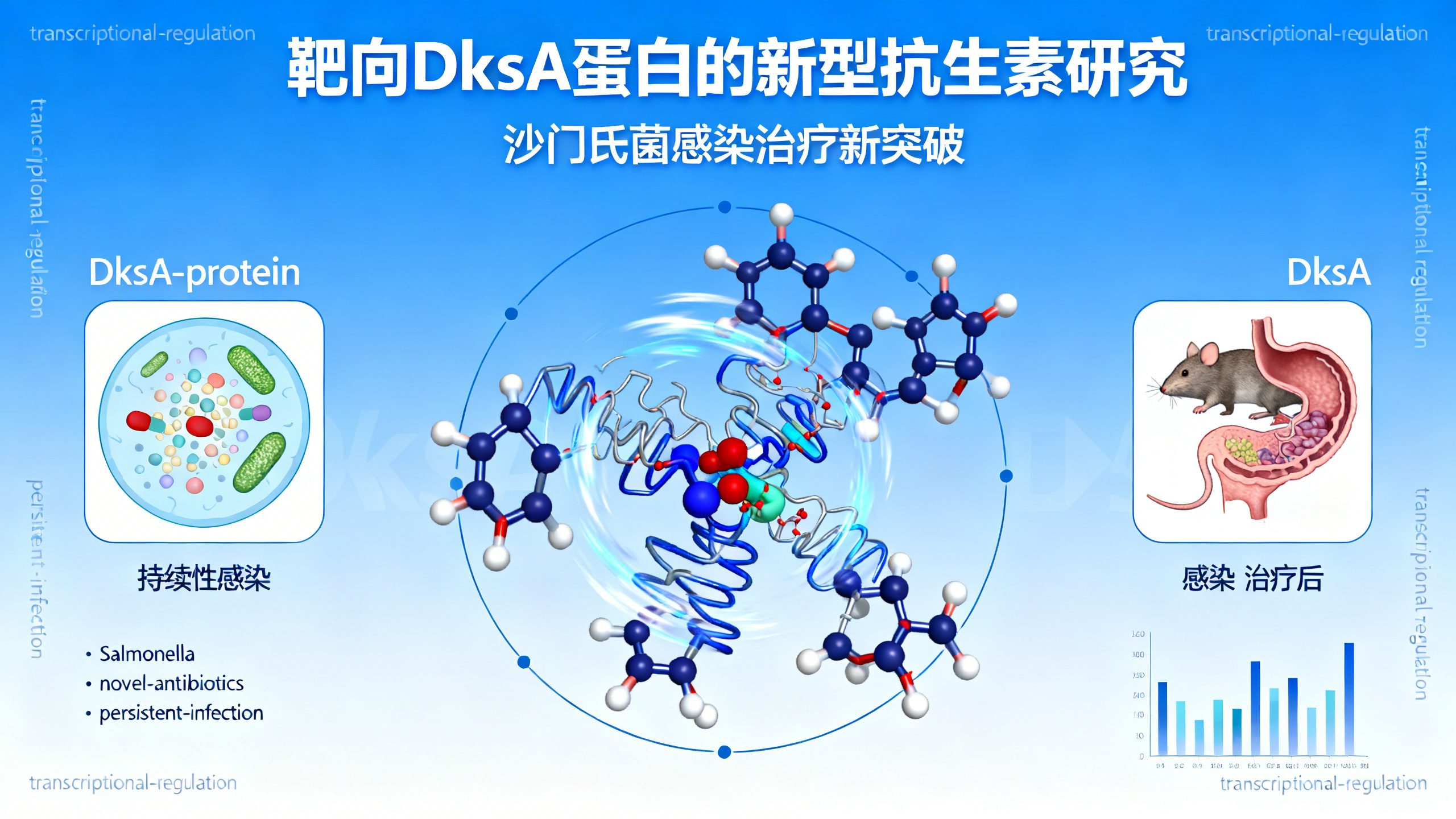能杀灭“躲藏”在细胞内的沙门氏菌的新药