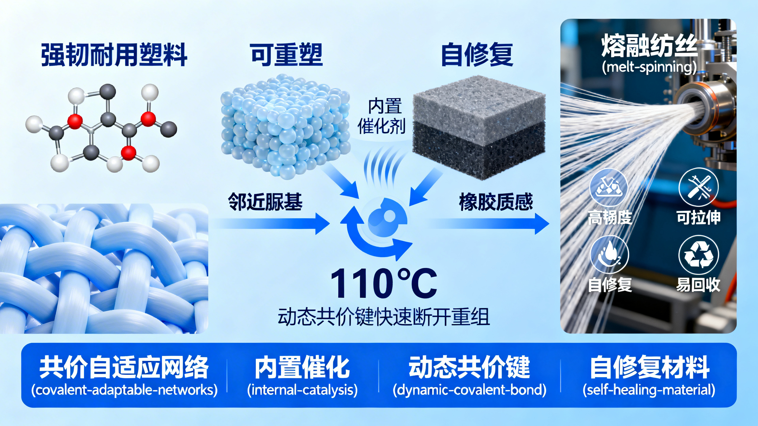 协同电子-拓扑策略实现共价自适应网络的时空调控