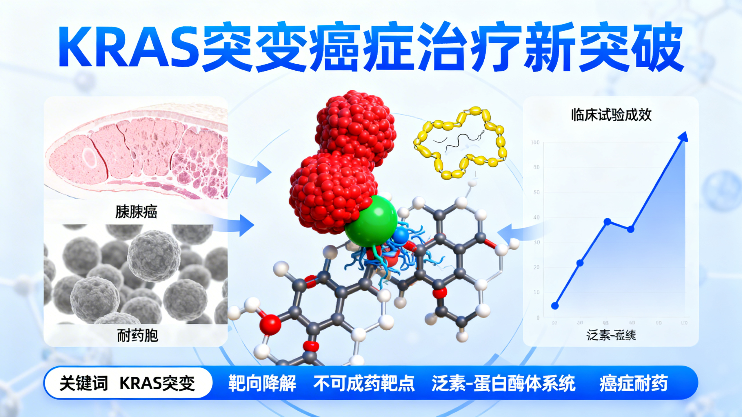 新药瞄准癌症中最致命的基因突变