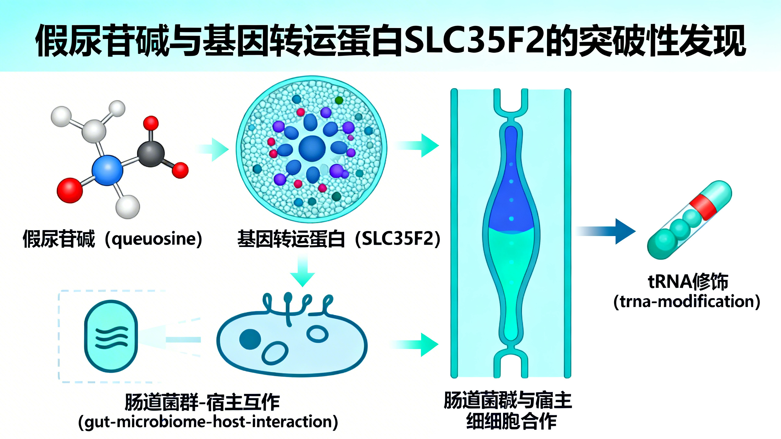 科学家揭开一种“脑卫士”营养素的30年谜团：它既能护脑又能抗癌
