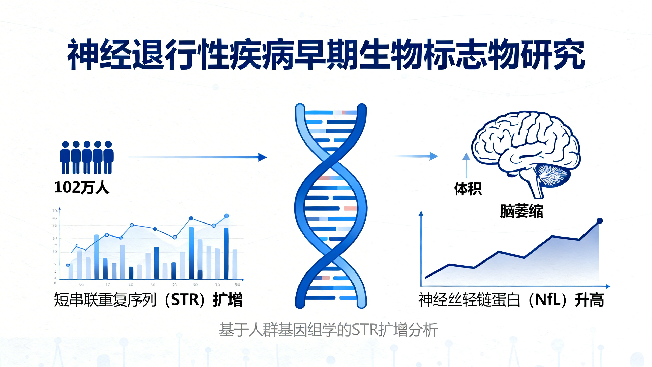 大规模人群研究揭示重复序列扩增如何影响疾病风险与脑萎缩