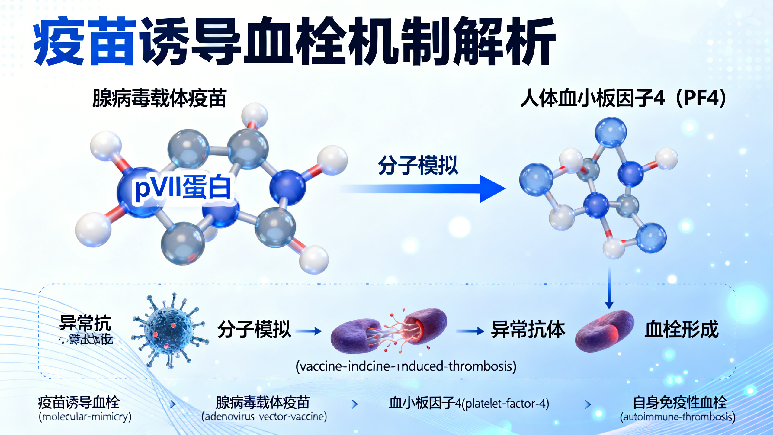 科学家终于揭开罕见新冠疫苗血栓之谜