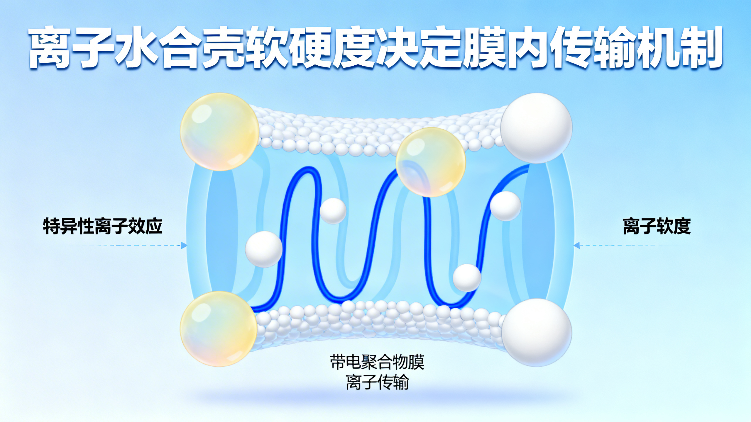 带电高分子膜中，不同离子对导电性能的影响