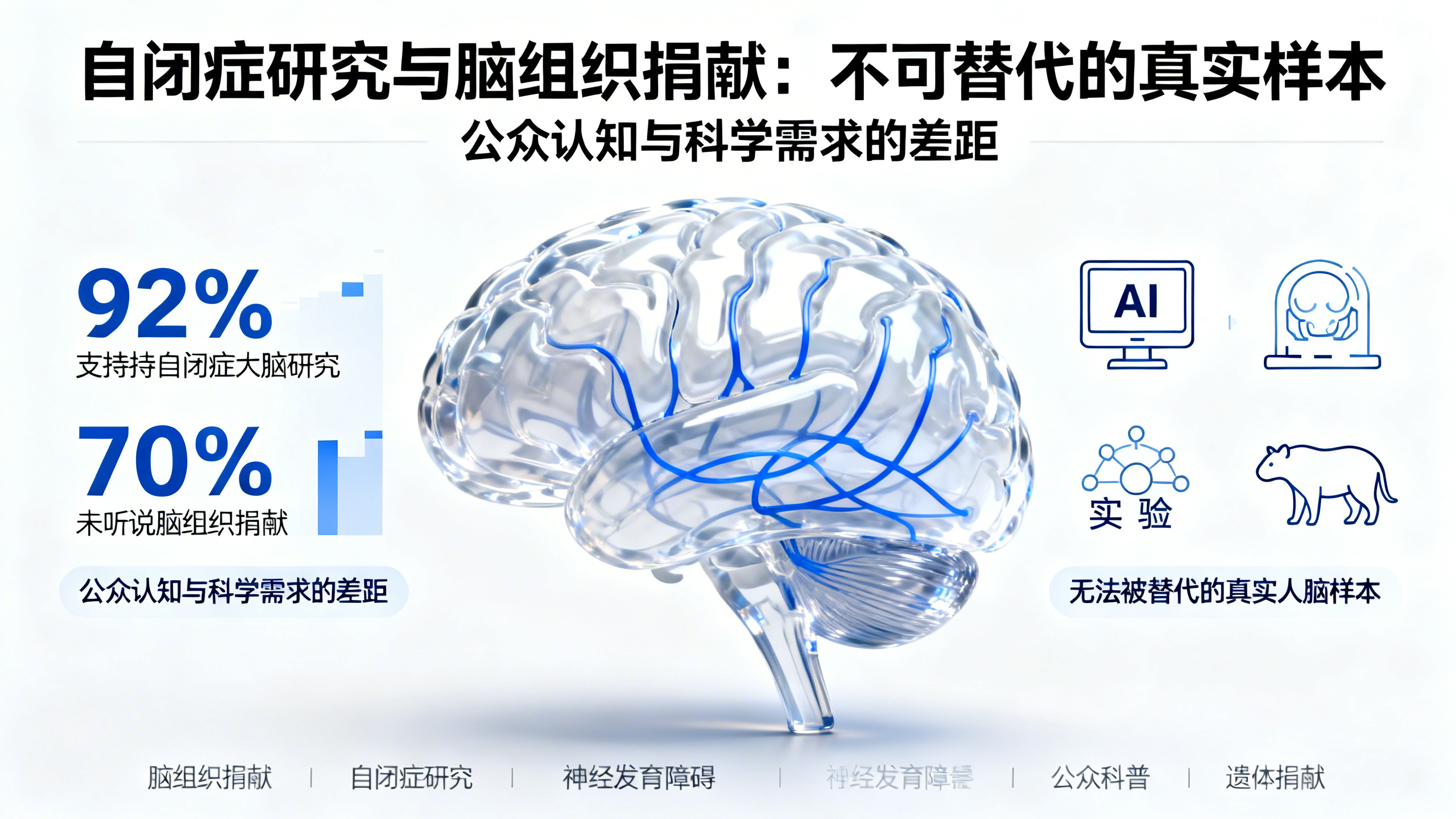 你的大脑，或许能帮我们攻克自闭症——但多数人并不知道