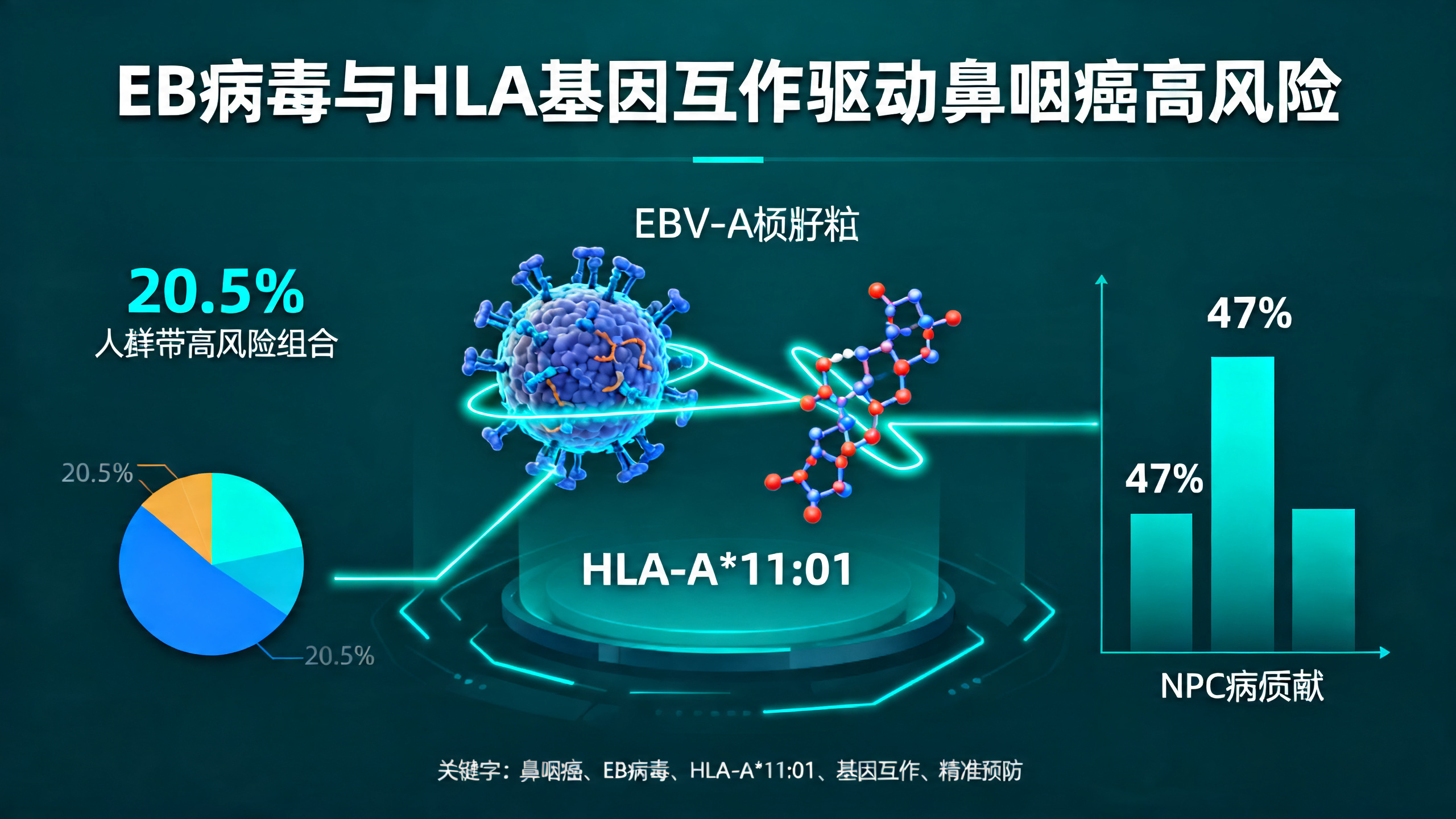 EB病毒株与人体免疫基因共同作用，增加鼻咽癌风险