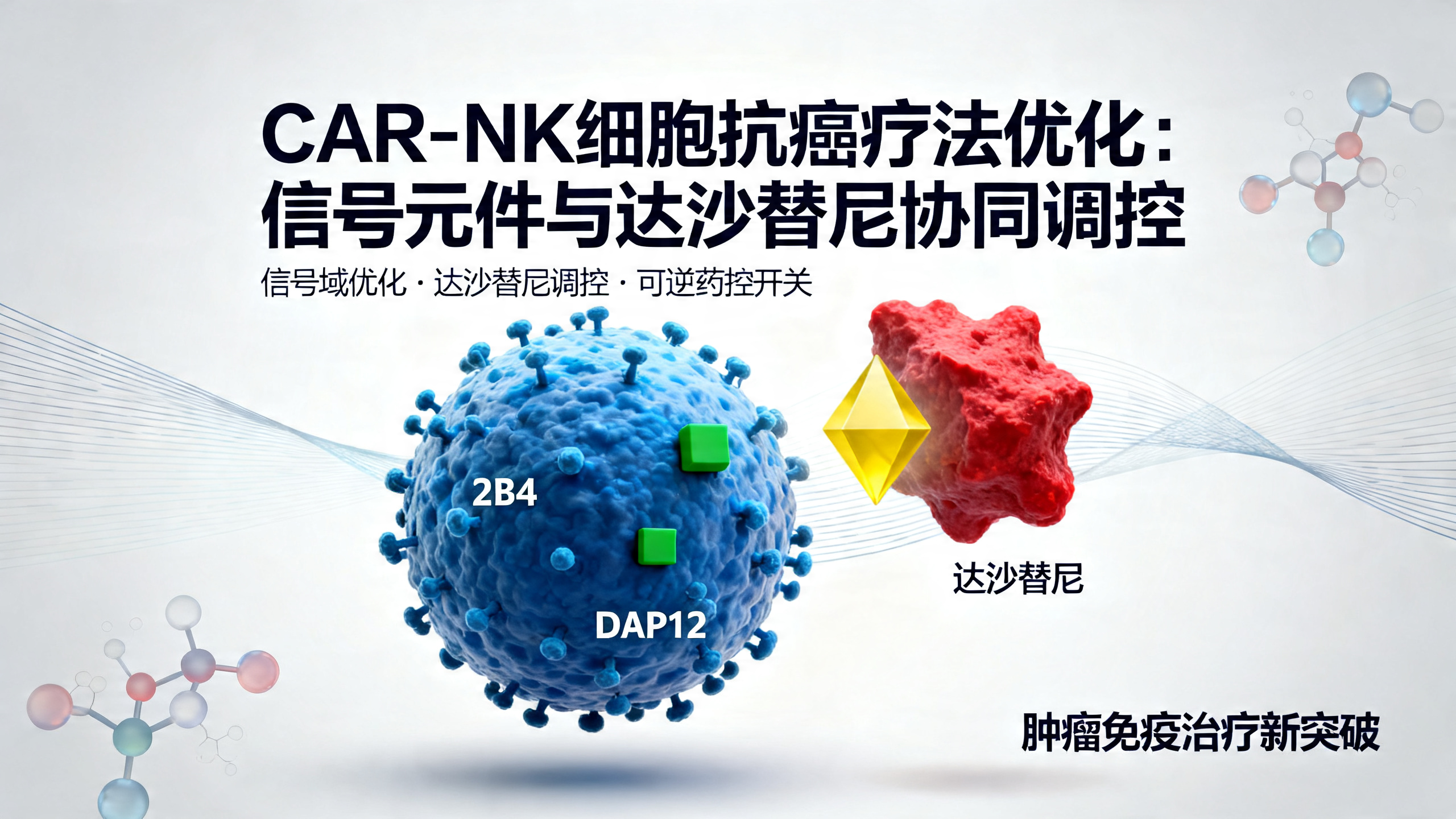 科学家给免疫细胞“充电”，让它们更有效地消灭癌细胞