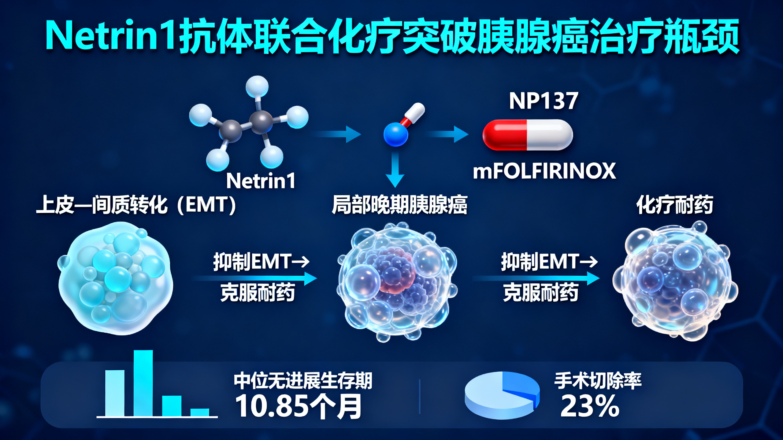 阻断Netrin1蛋白，可增强胰腺癌对化疗的敏感性