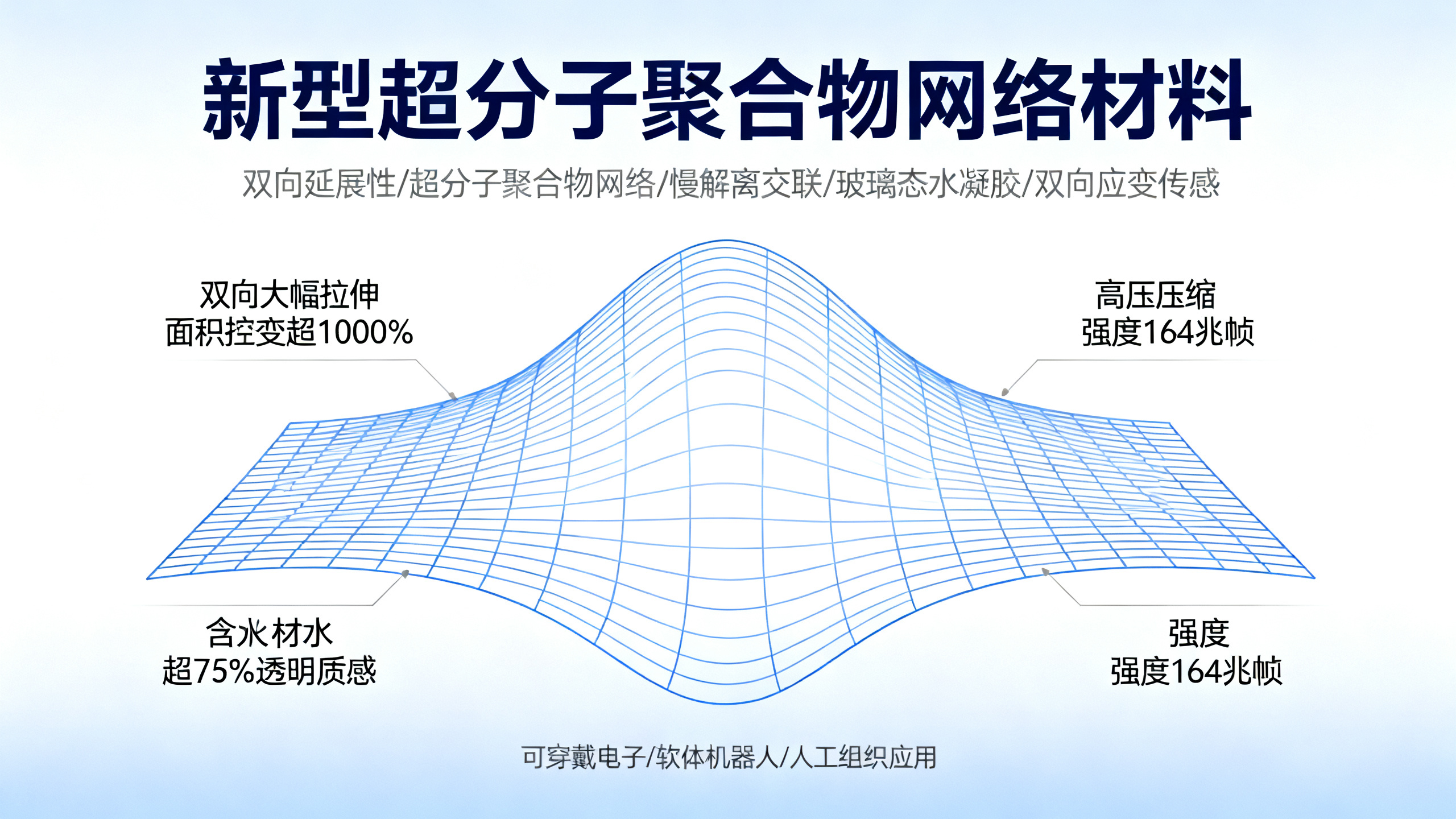 双向可拉伸的超分子聚合物网络