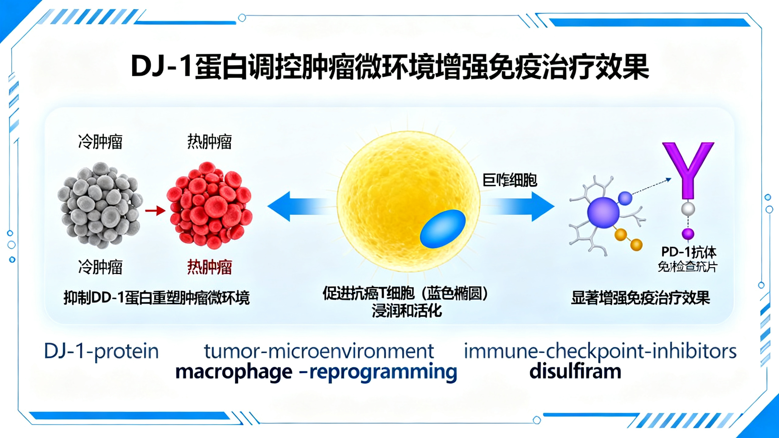 阻断DJ-1蛋白，让肿瘤“变友好”，增强免疫治疗效果