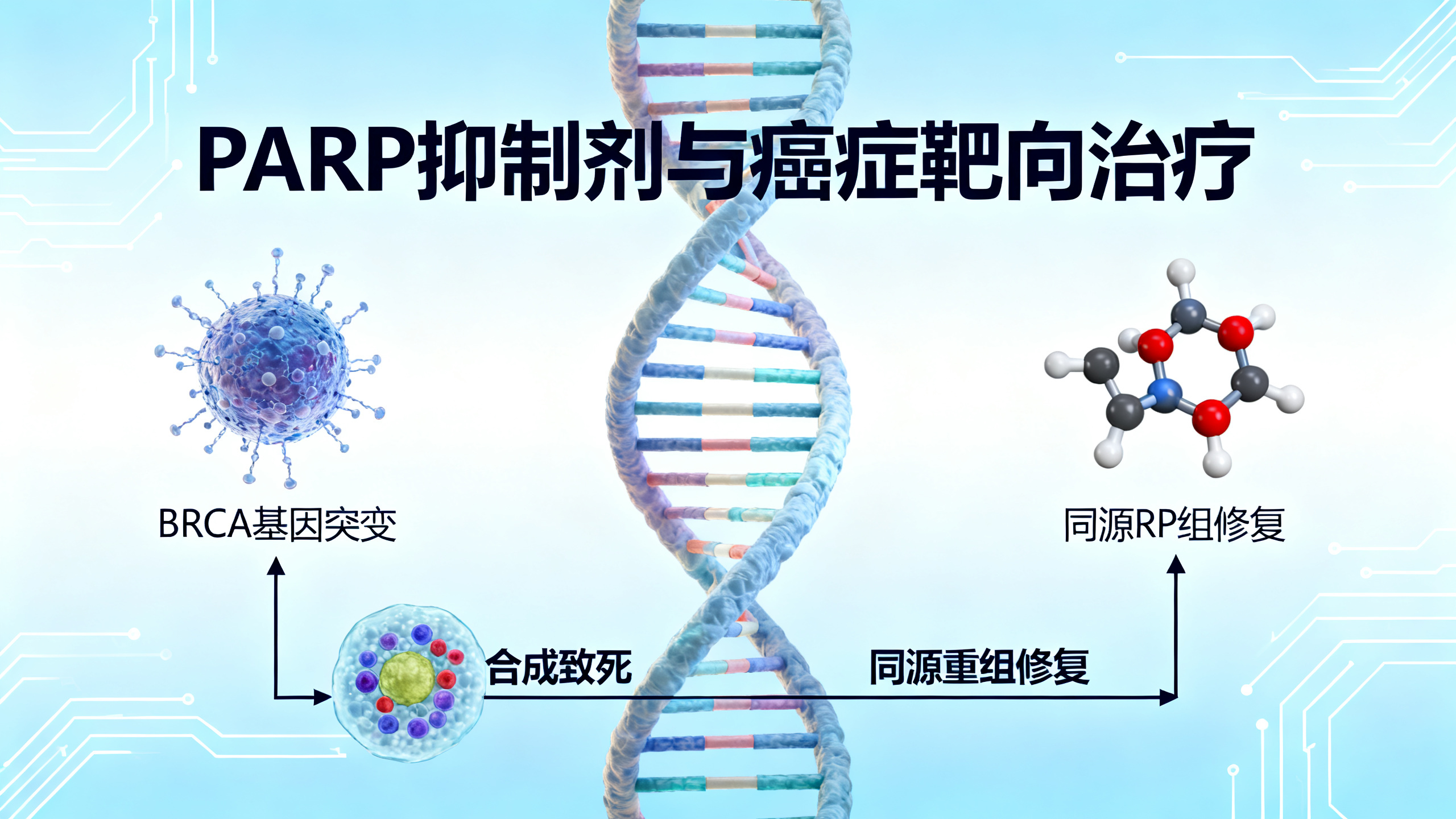 PARP抑制剂抗癌：二十年来“以毒攻毒”的科学突破