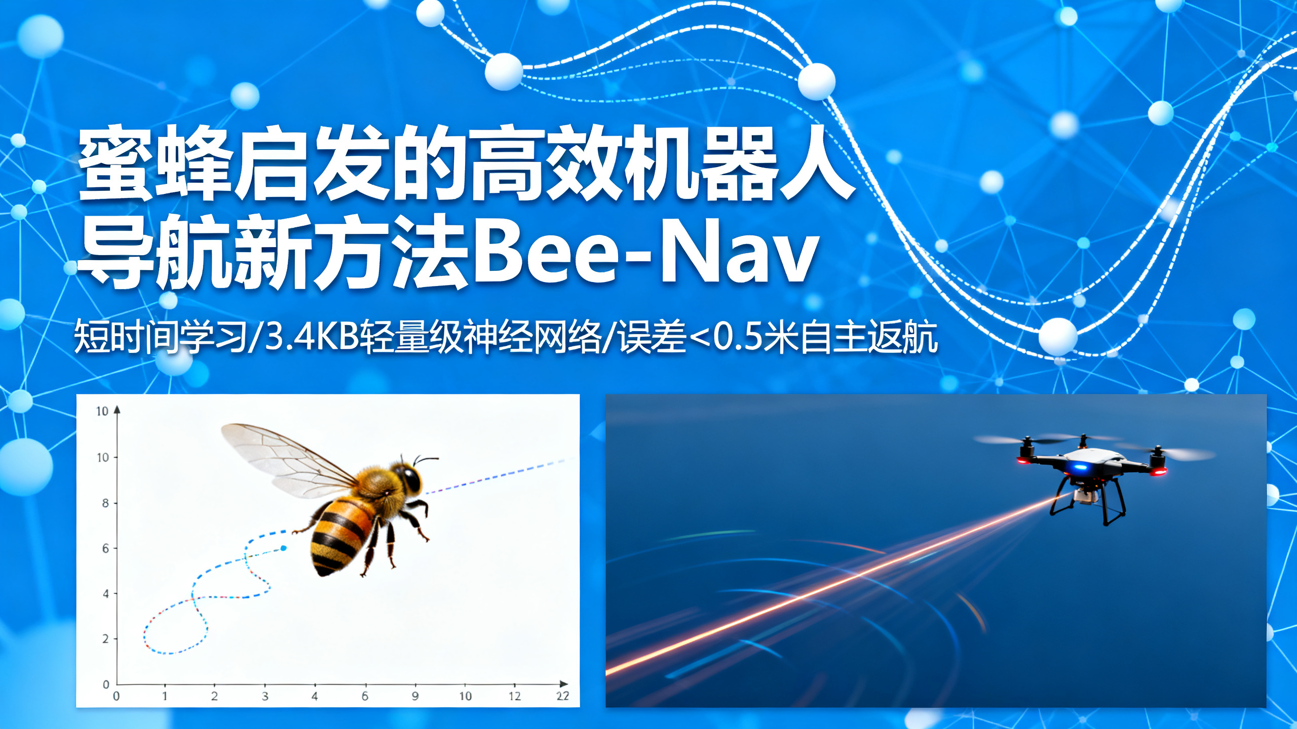 蜜蜂“学习飞行”启发的高效机器人导航