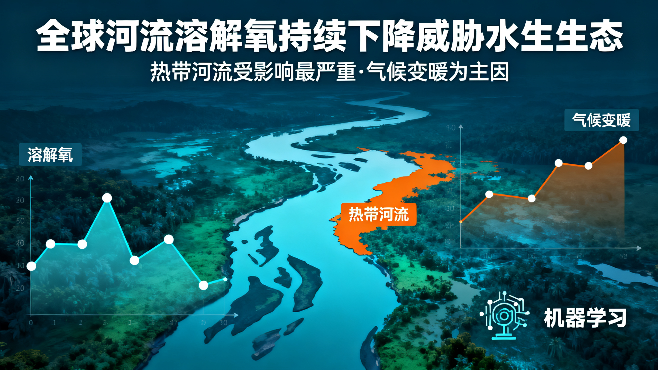 科学家警告：全球河流正面临“缺氧”危机