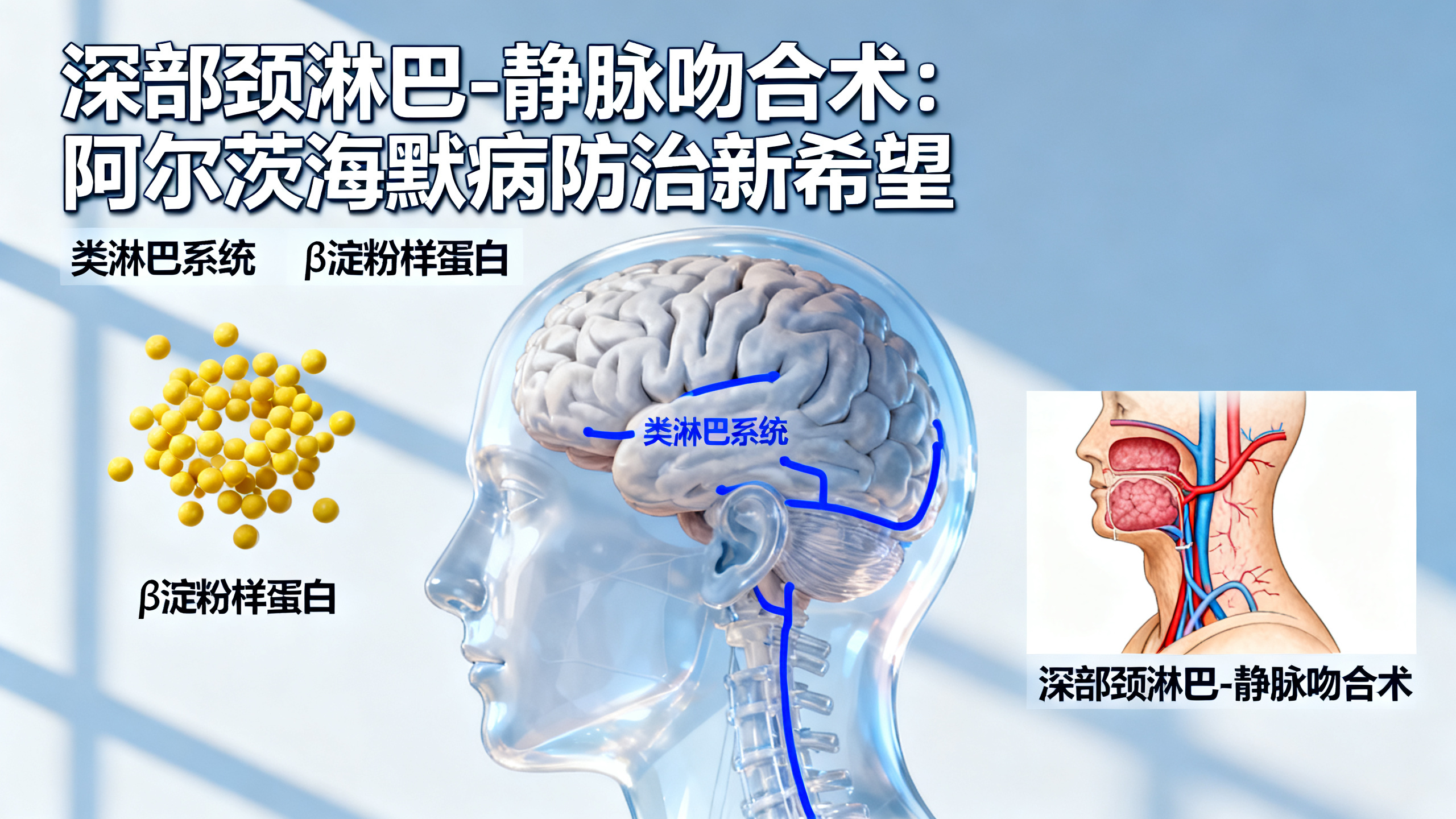 别急着用淋巴系统手术治疗阿尔茨海默病