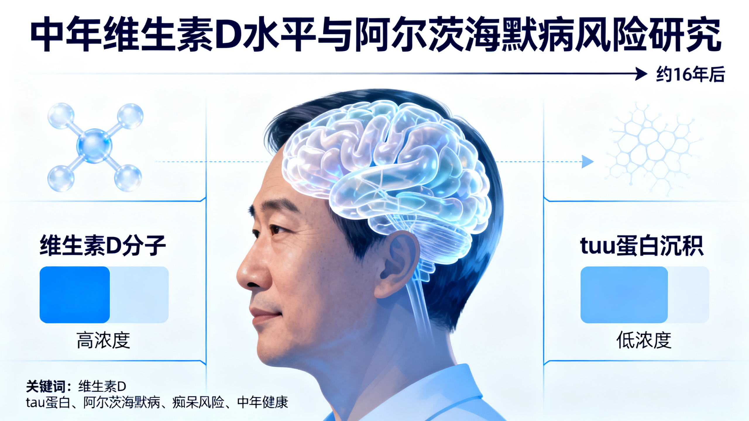 中年时的维生素D水平，可能影响几十年后的脑健康