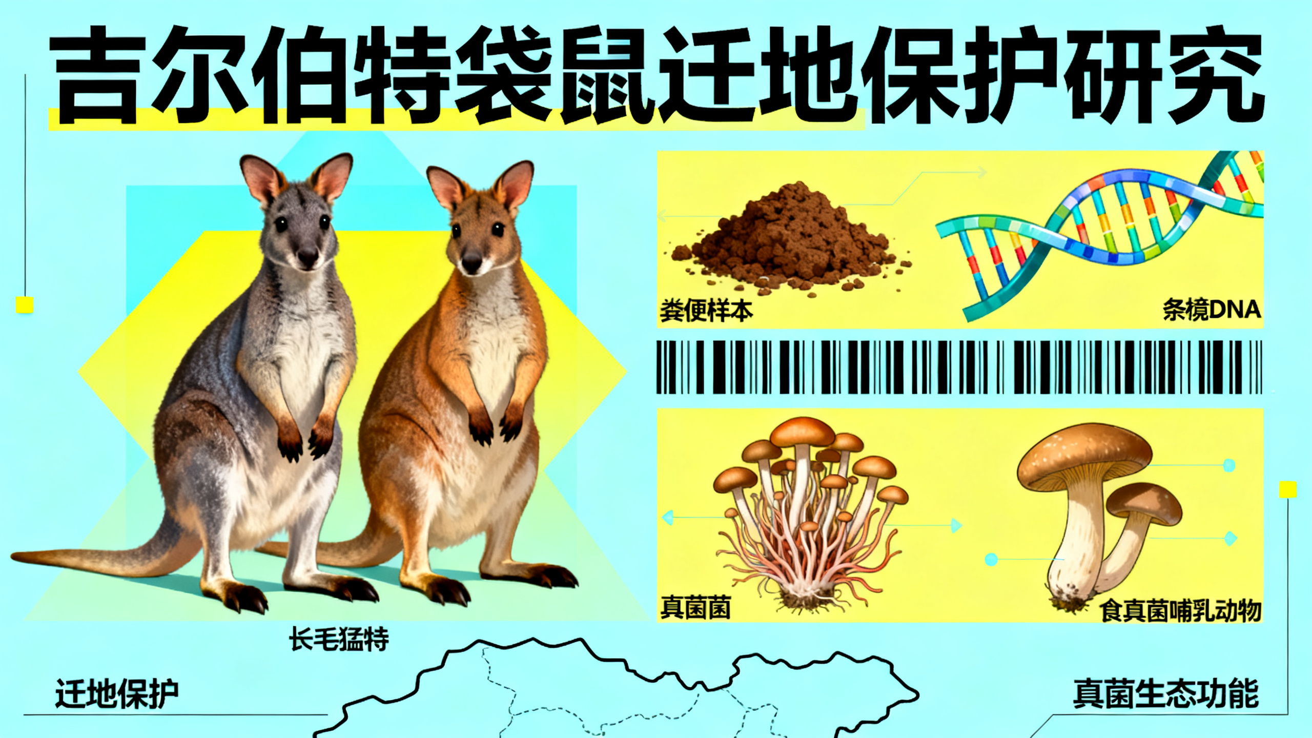 科学家用粪便DNA拯救全球最稀有的有袋动物