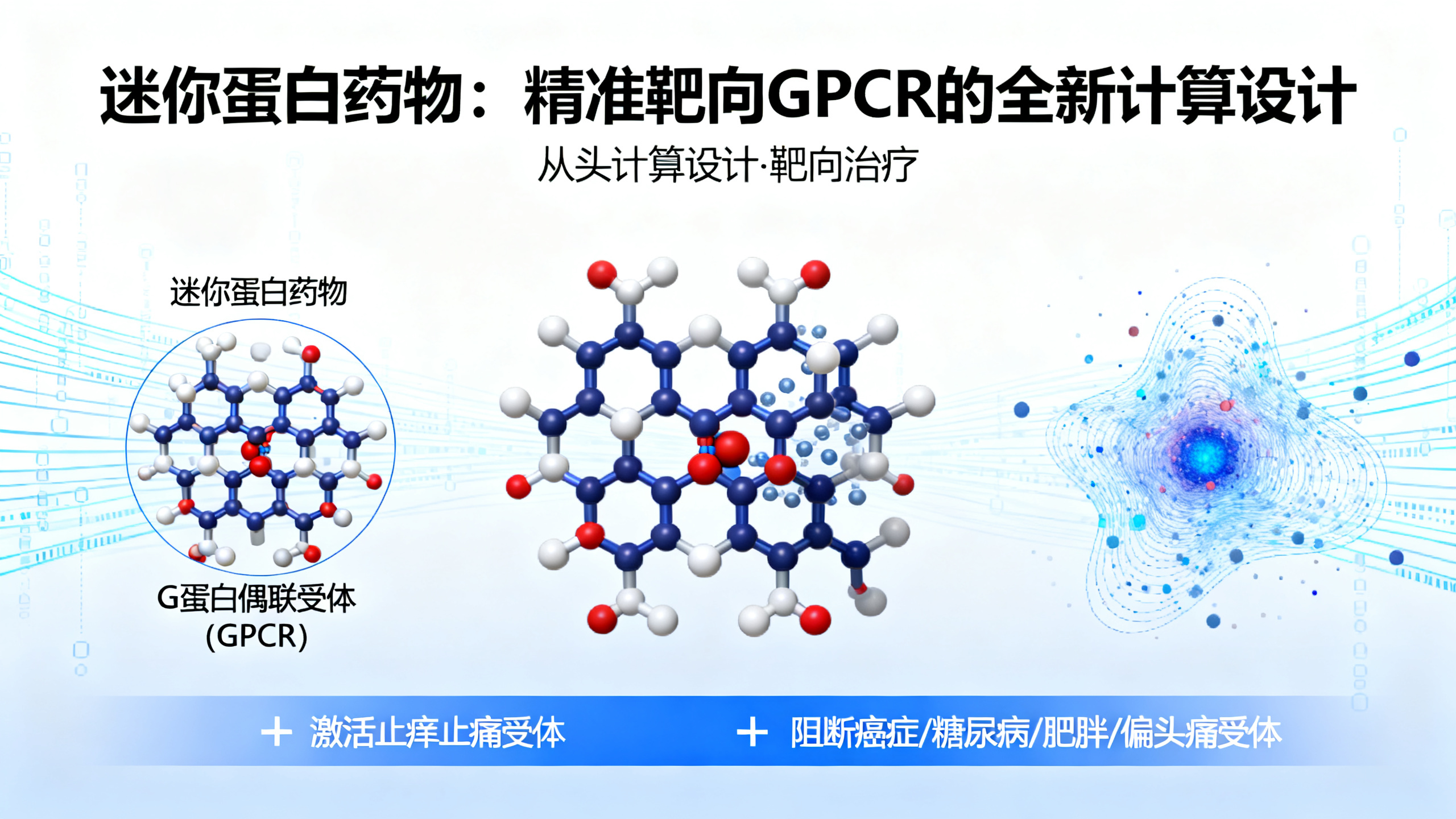 从零开始设计靶向G蛋白偶联受体的小型蛋白质