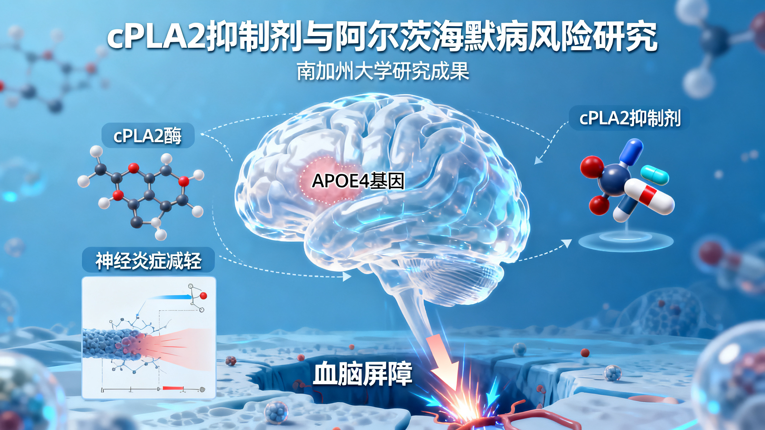 南加州大学科学家发现阿尔茨海默病的“隐形开关”及关闭方法
