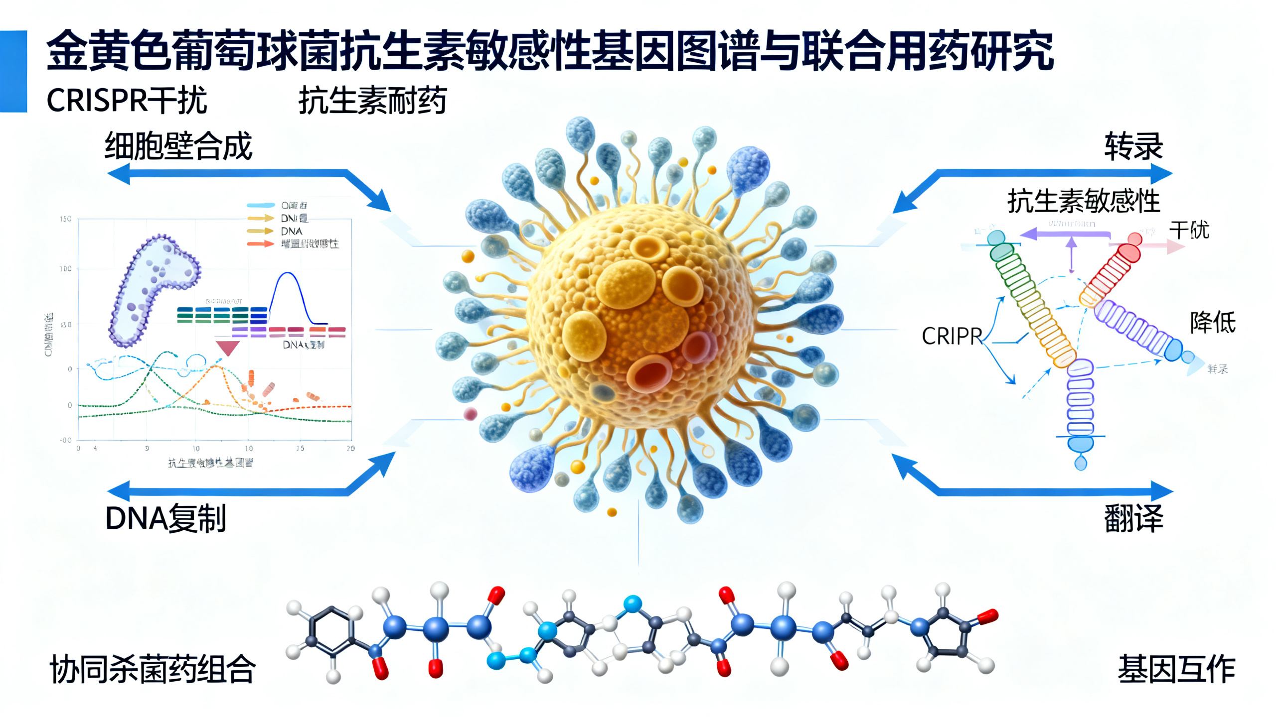 金黄色葡萄球菌对抗生素敏感性的基因图谱