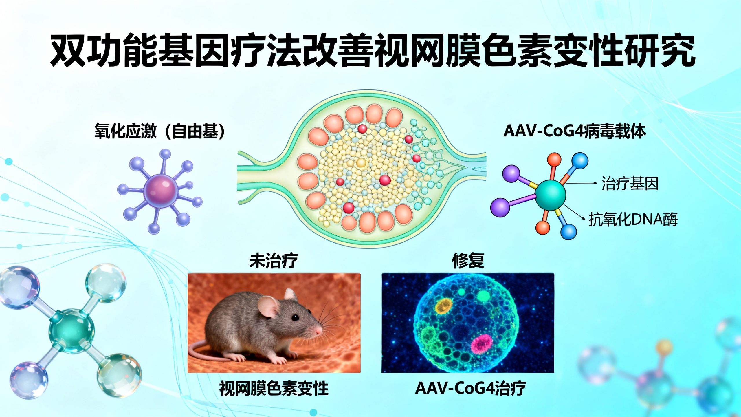 协同抗氧化与基因补充：高效治疗视网膜色素变性