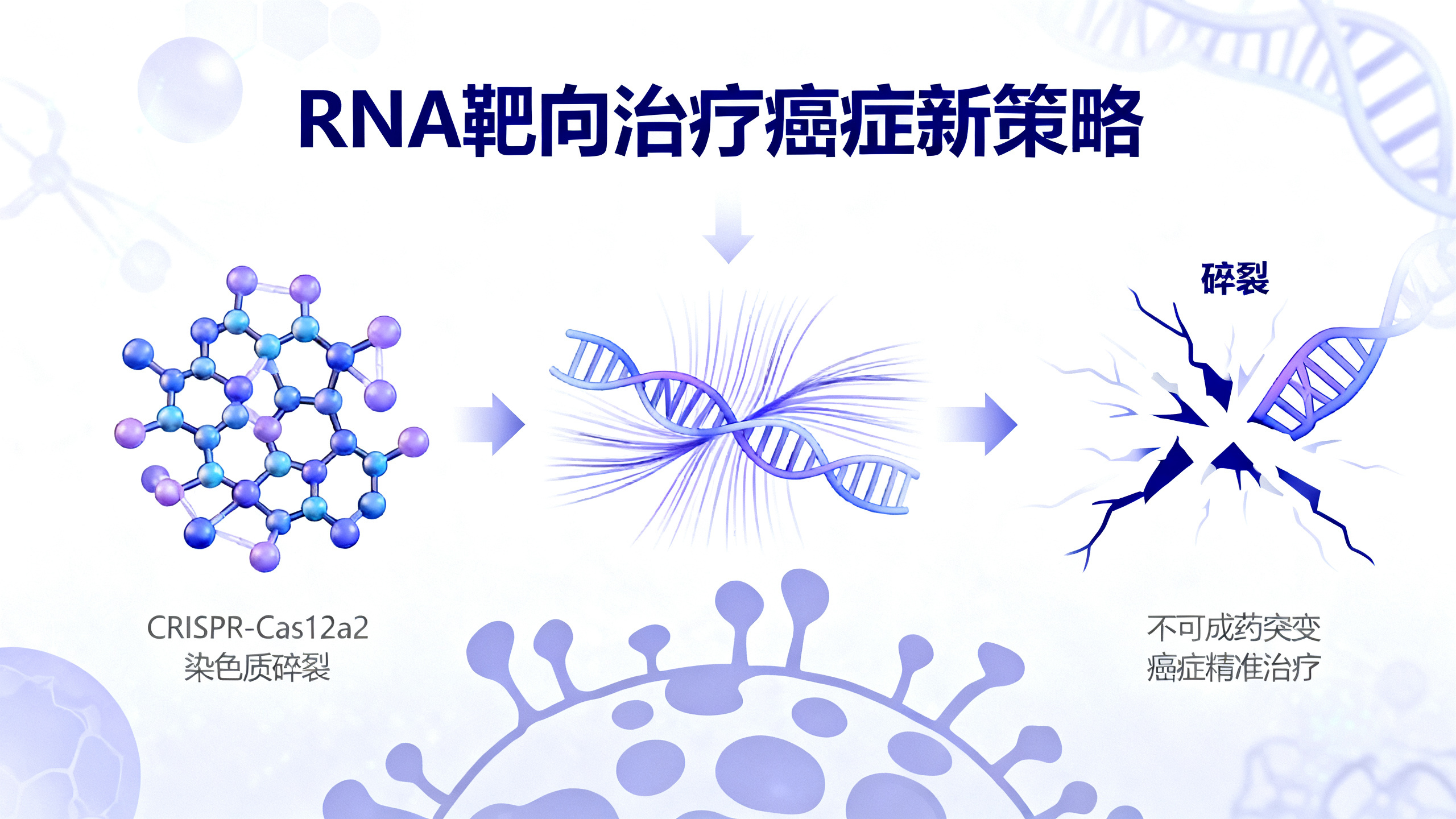用RNA“剪碎”癌细胞特有的变异基因