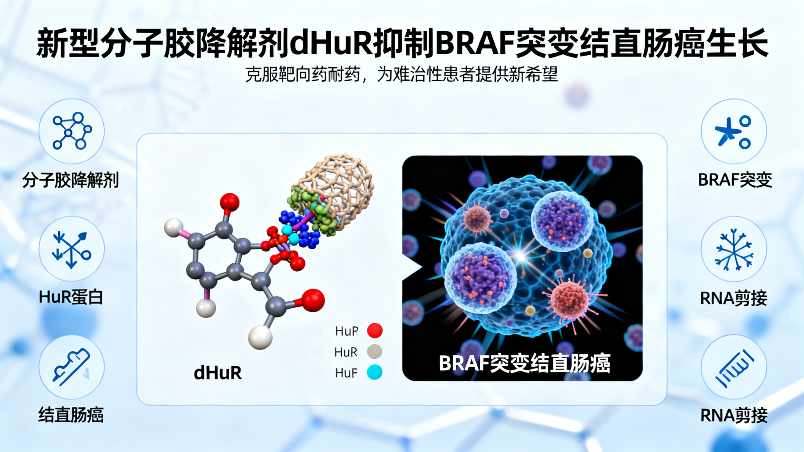 一种“分子胶水”药物可清除致癌蛋白，有效抑制BRAF突变型结直肠癌