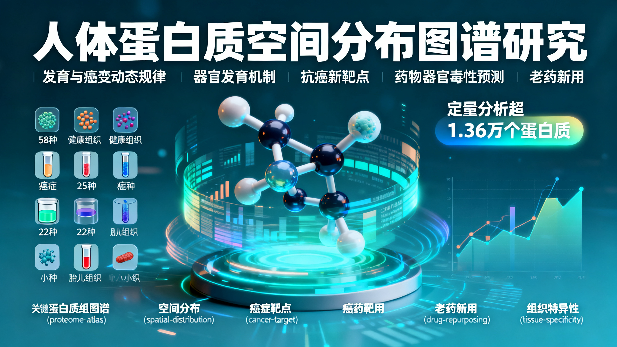 人体及癌症中的蛋白质分布图