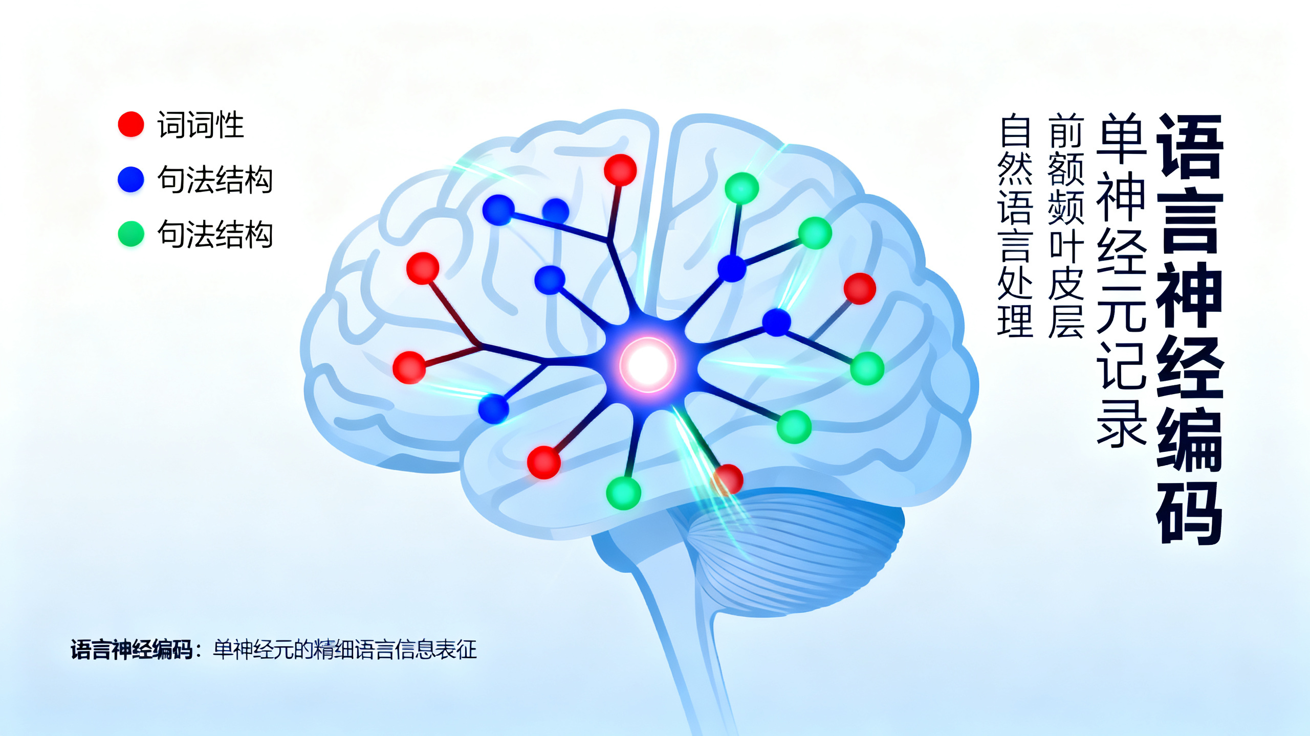 用语言模型揭开人类语言的神经基础