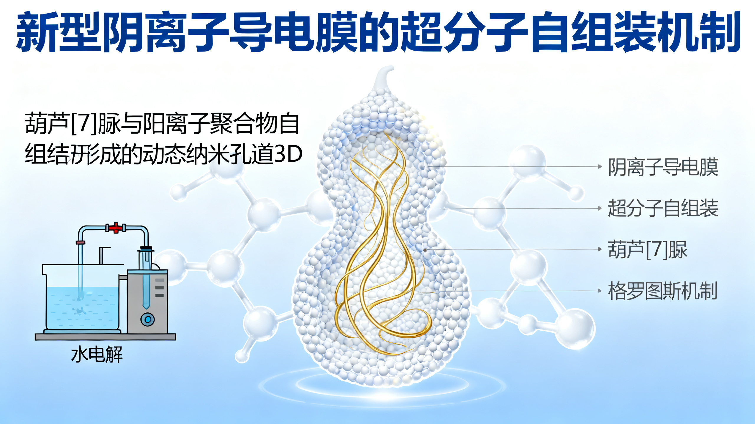 葫芦脲制成的“分子筛”阴离子传导膜