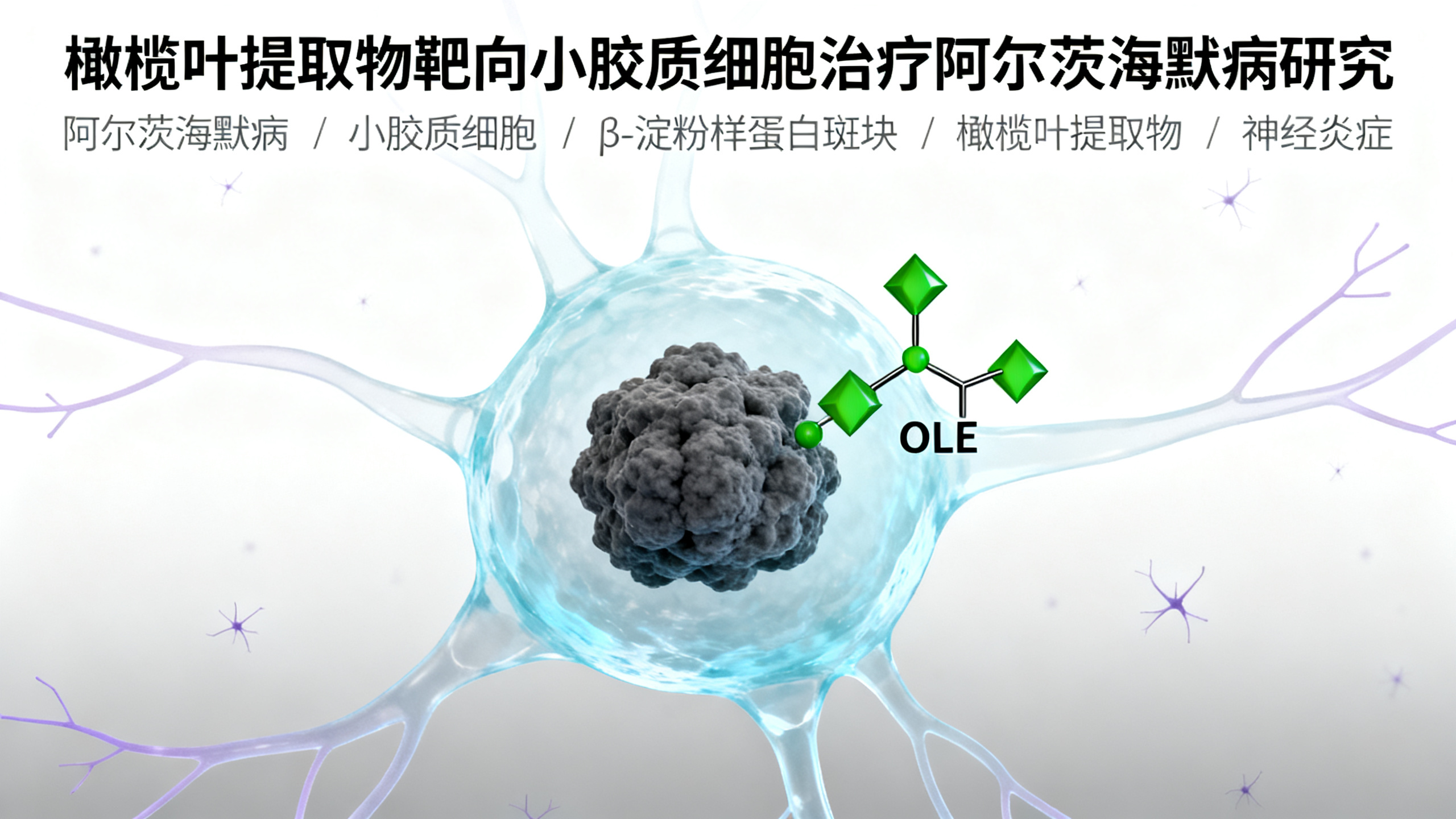 科学家改造大脑免疫细胞，助力抗击阿尔茨海默病