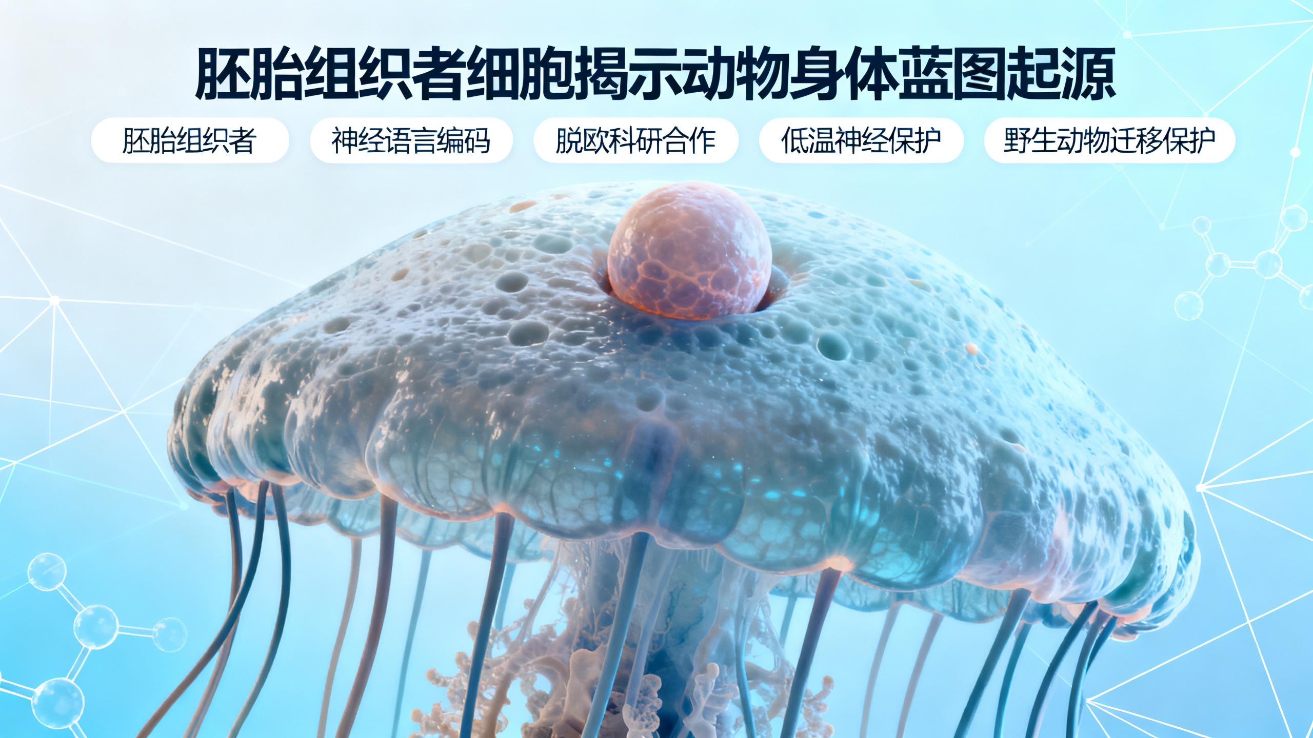 每日简报：大脑如何逐个神经元构建一句话