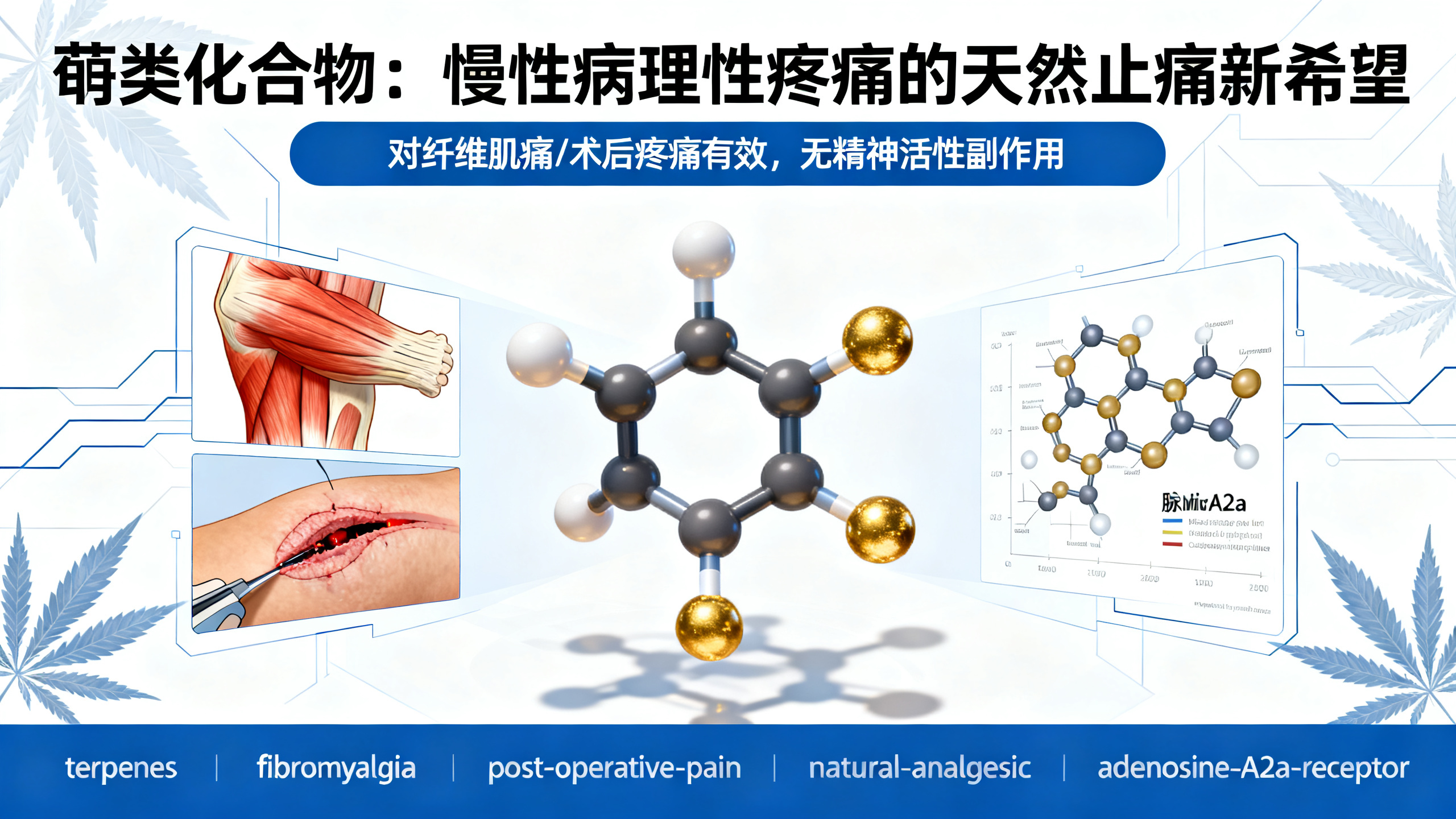 科学家发现一种不致幻的大麻止痛成分