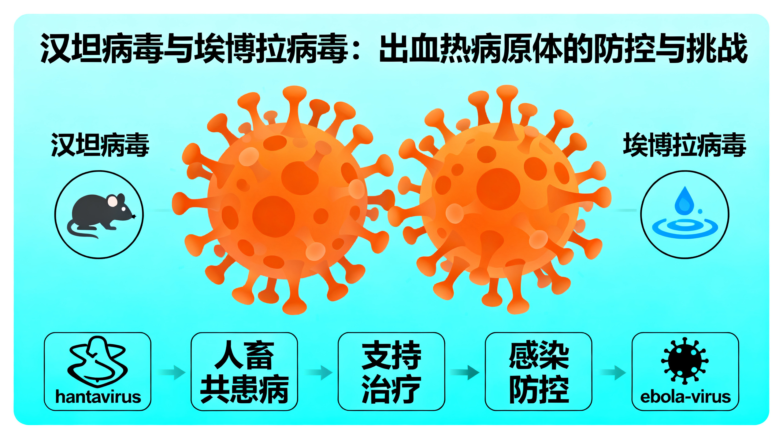 埃博拉和汉坦病毒：起初像流感，却可能迅速致命